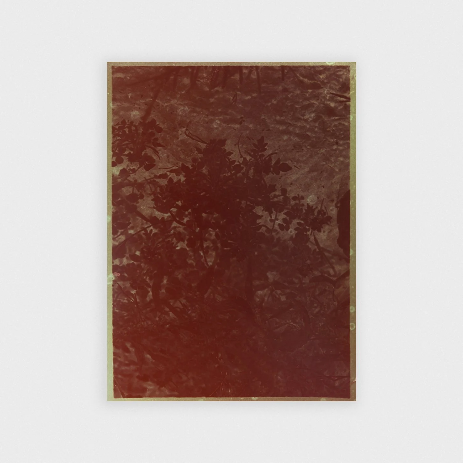 Esmee van Zeeventer_werk.jpg