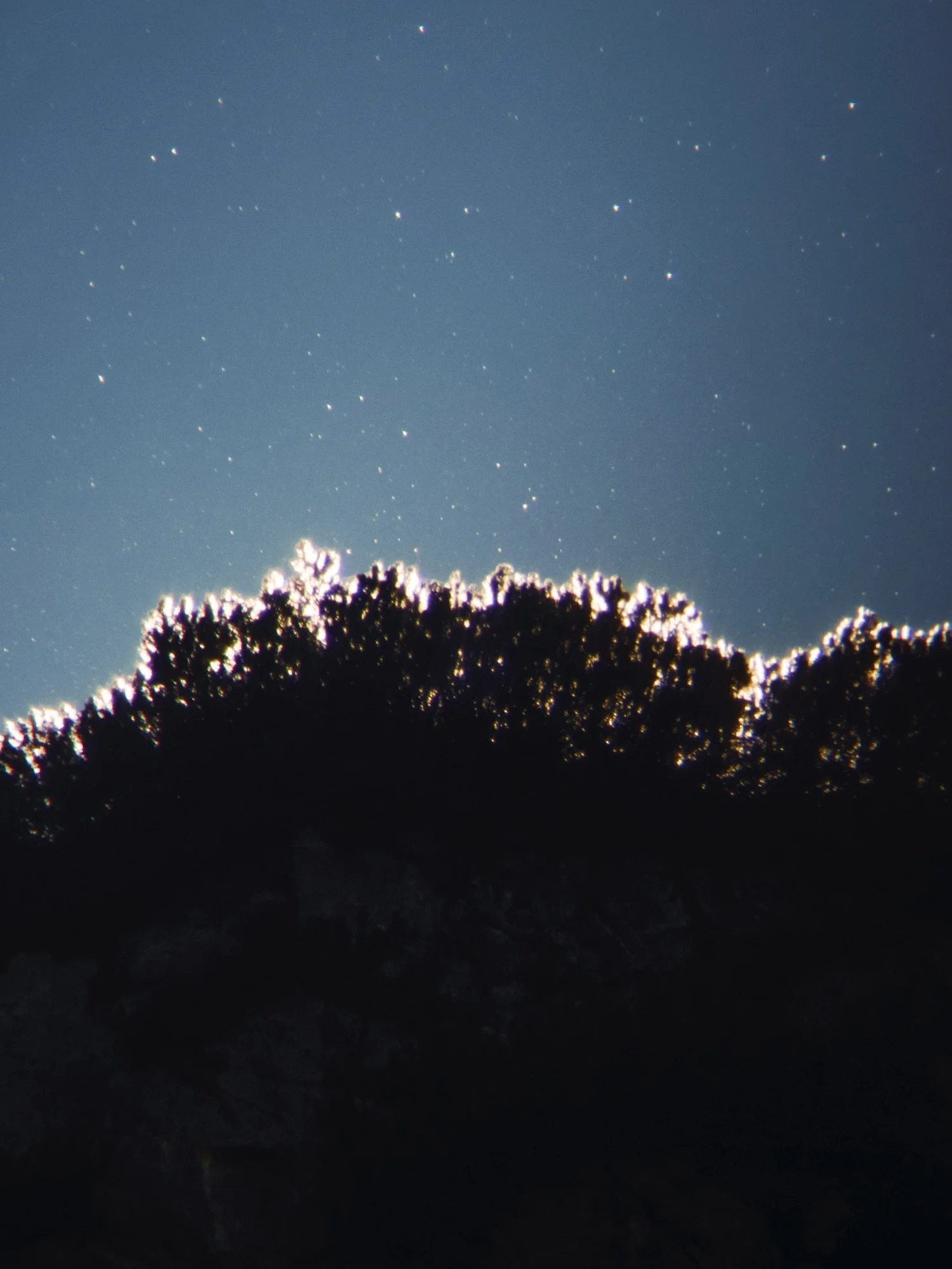 29 november - 20 december 2025