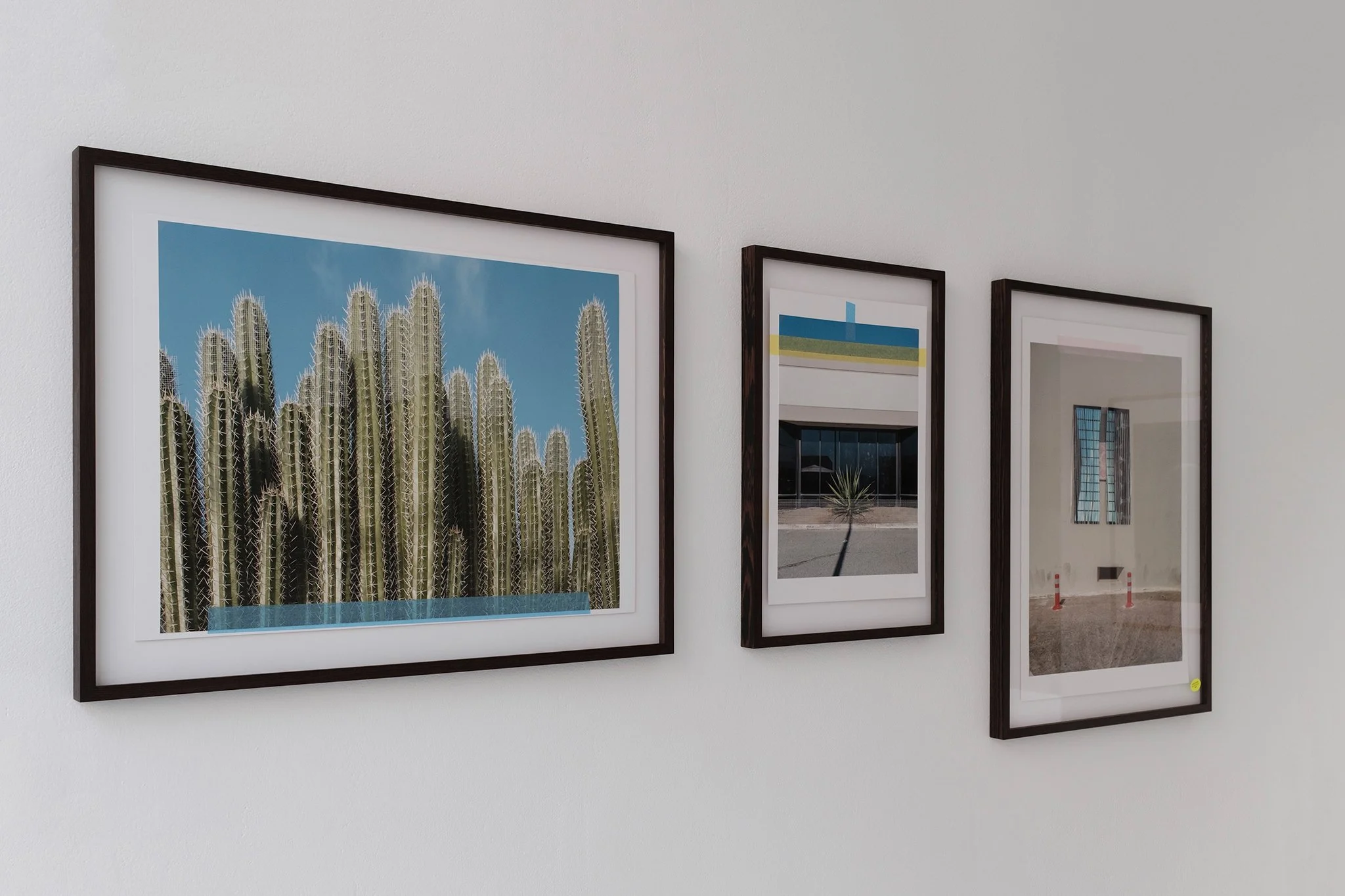 Post Studies 2025.jpg