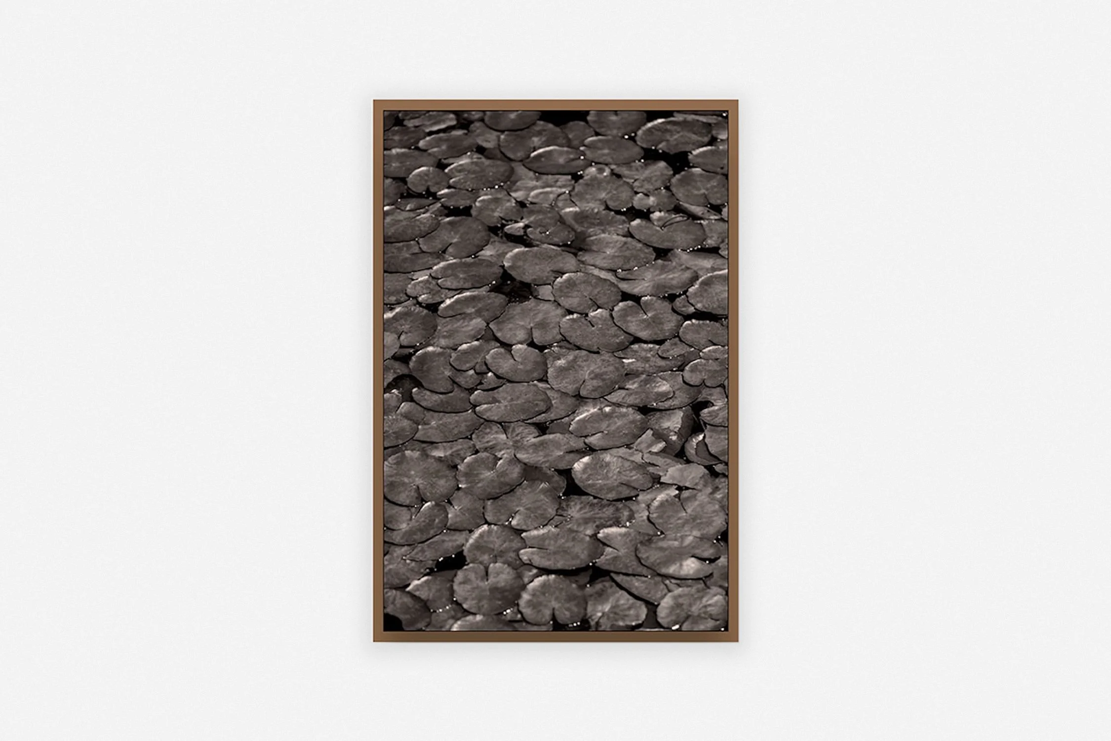       
  
     ← Back 
  
 
             

 
   ◼︎ Lillies   Anne Kaere 2023   40 x 60 cm Edition of 3 Fine Art Velvet Print mounted on dibond in walnut frame  € 900,00 
 




















  
  



    

  
   
    Order →
   
   
    #block-702c2