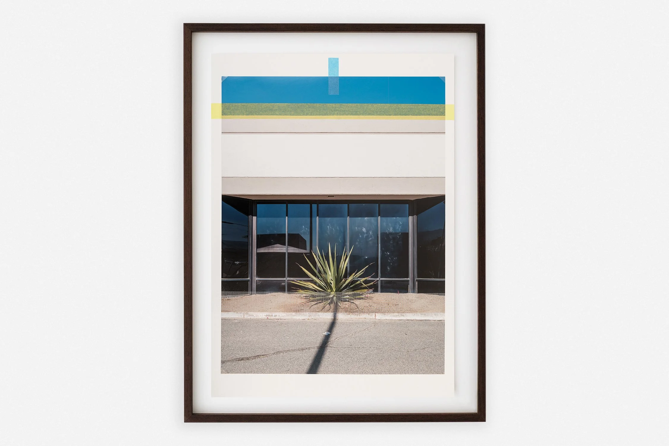 Dineke-Versluis_Facade with Plant_cover.jpg