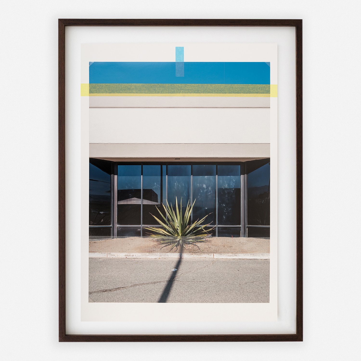 Dineke-Versluis_Facade with Plant_metlijst.jpg