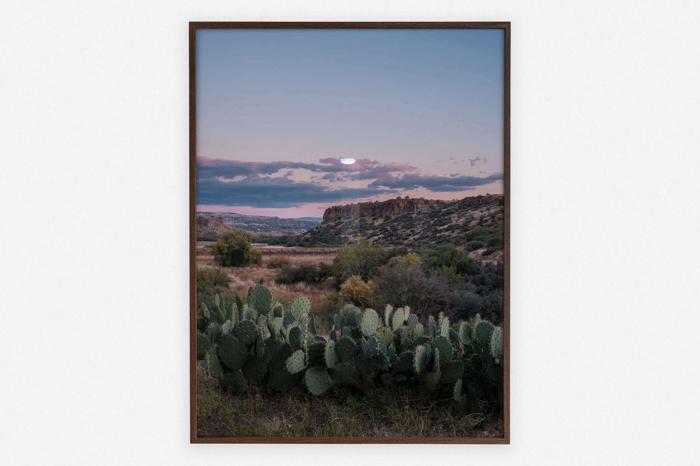       
  
     ← Back 
  
 
             

 
   ◼︎ Arcosanti   Dineke Versluis 2022   Fine Art Baryta Print mounted on dibond 75 x 100 cm Edition of 3 + 2 AP Handmade wengé frame with museumglass  € 2.750,00 
 




















  
  



    




 