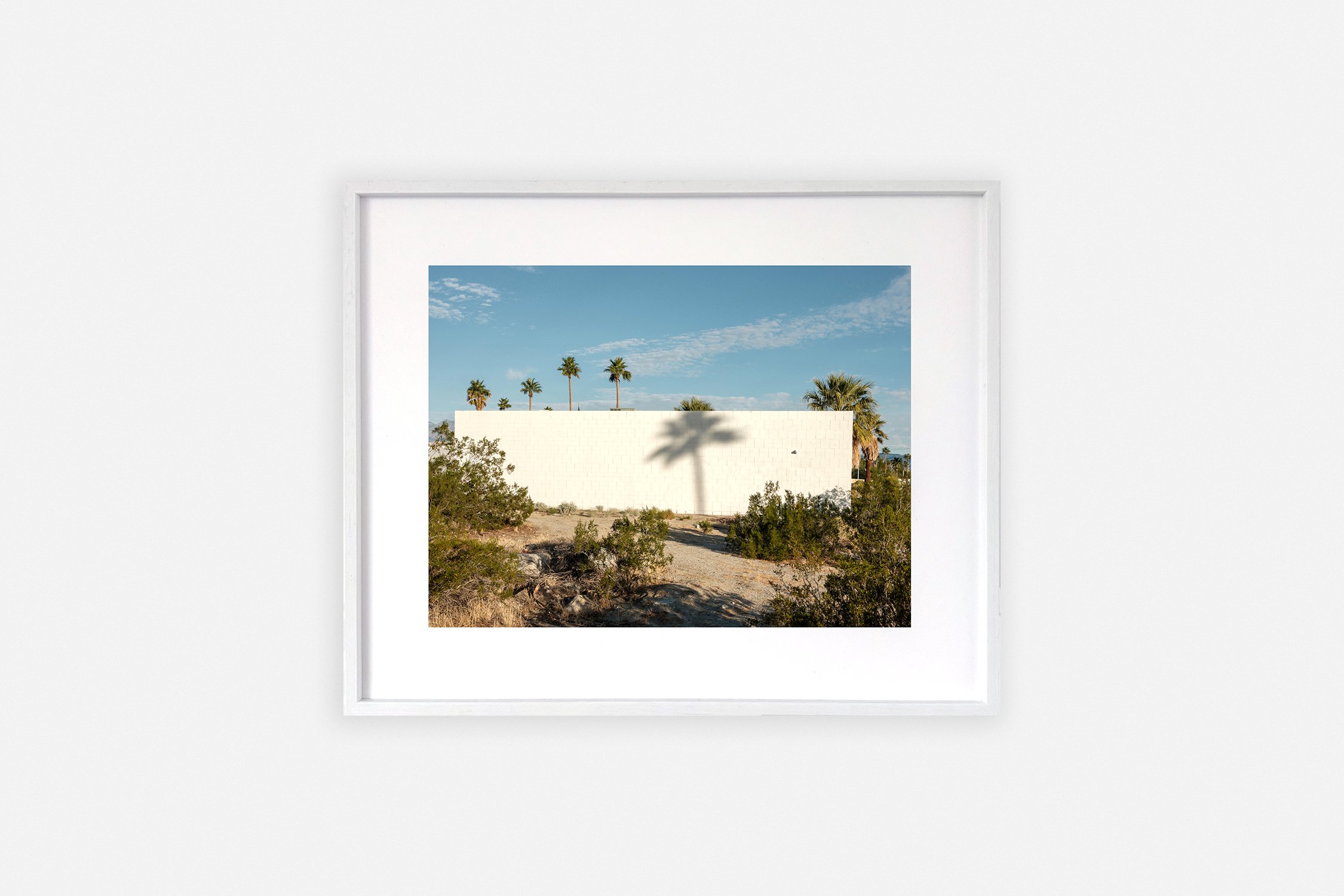       
  
     ← Back 
  
 
             

 
   ◼︎ Palm Springs   Dineke Versluis 2023   Fine Art Baryta Print mounted on dibond 38 x 31 cm Edition of 8 + 2 AP White wood veneer frame  € 375,00 
 




















  
  



    




    
     
    