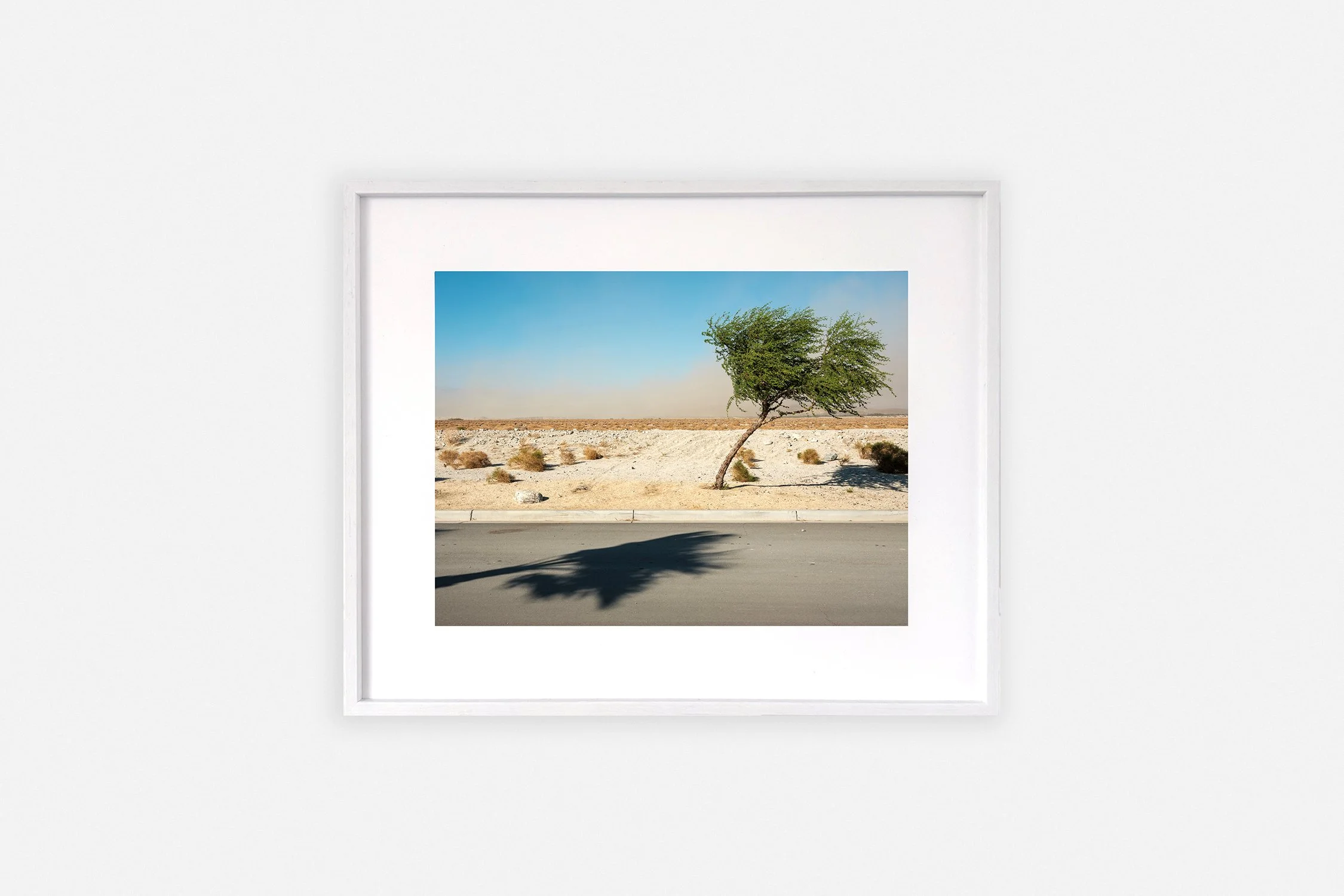       
  
     ← Back 
  
 
             

 
   ◼︎ Sunrise Parkway   Dineke Versluis 2022   Fine Art Baryta Print mounted on dibond 38 x 31 cm Edition of 8 + 2 AP White wood veneer frame  € 375,00 
 




















  
  



    




    
     
 