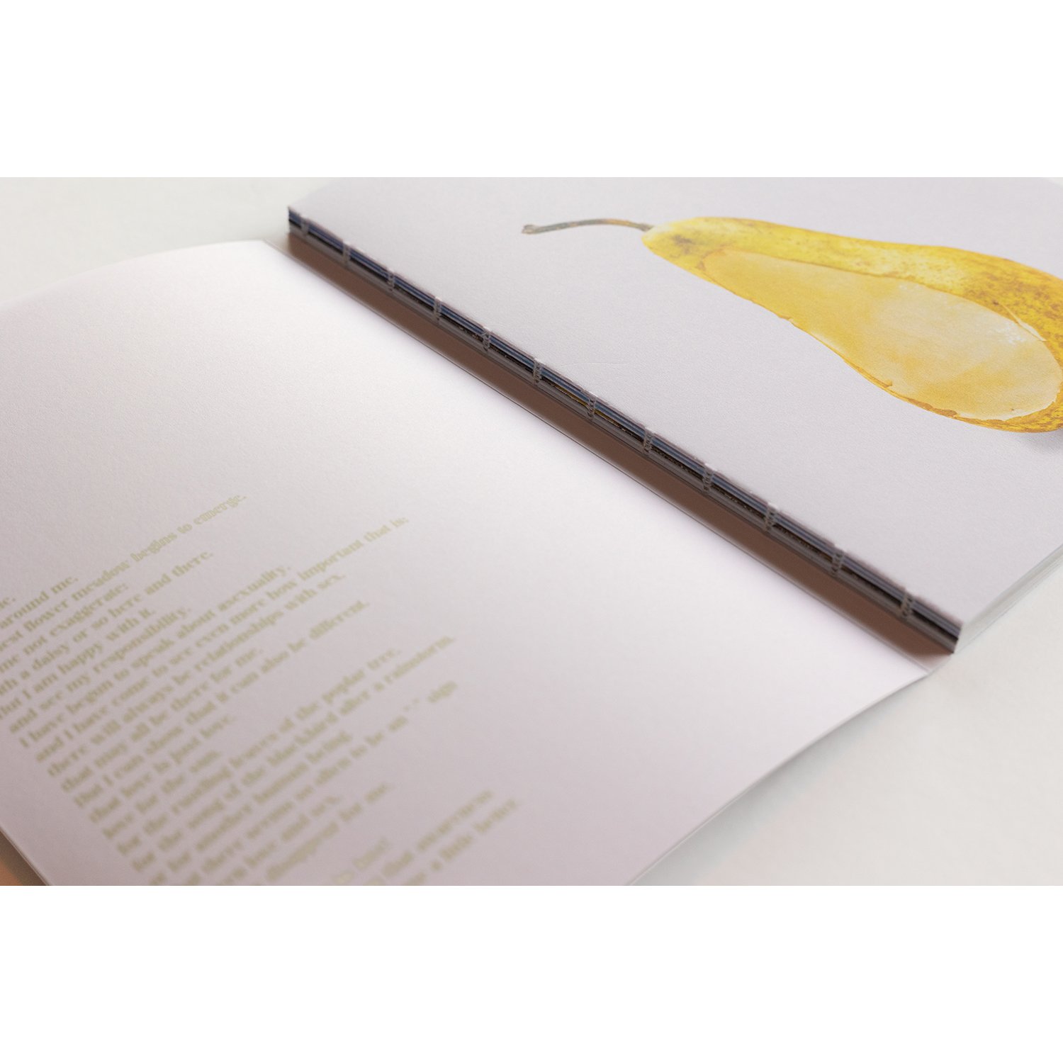 foto's boek xano diabp-3.jpg