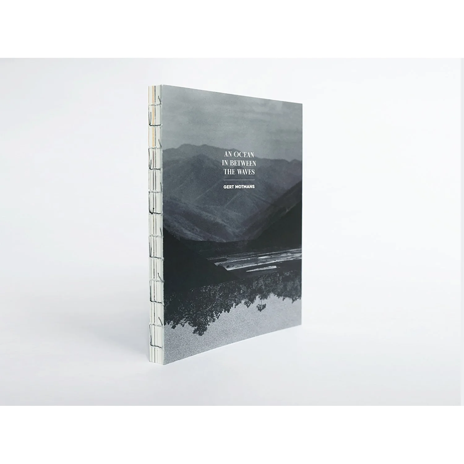 boek standing_landscape.jpg