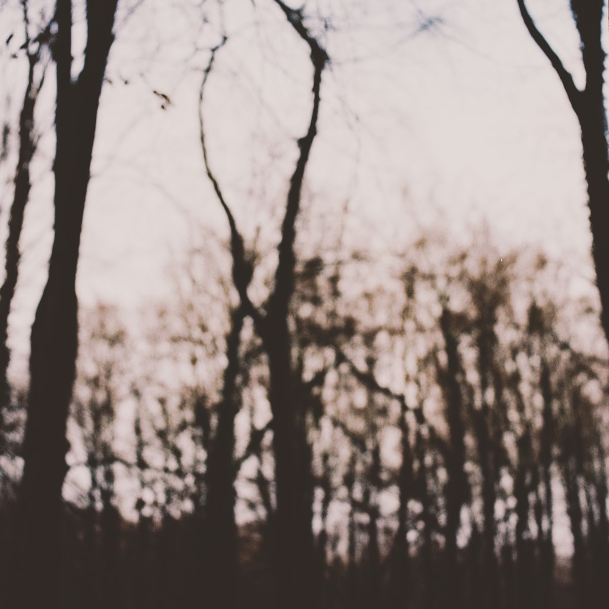 62835a22b9c925071d9e091b_Faroq_Thana_when it_s a blue sky_014.jpg