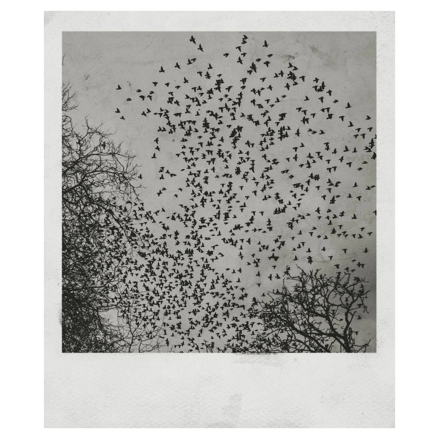 62835a23db5e0869f30e70fa_Faroq-Thana-When it_s a blue sky_05.jpg