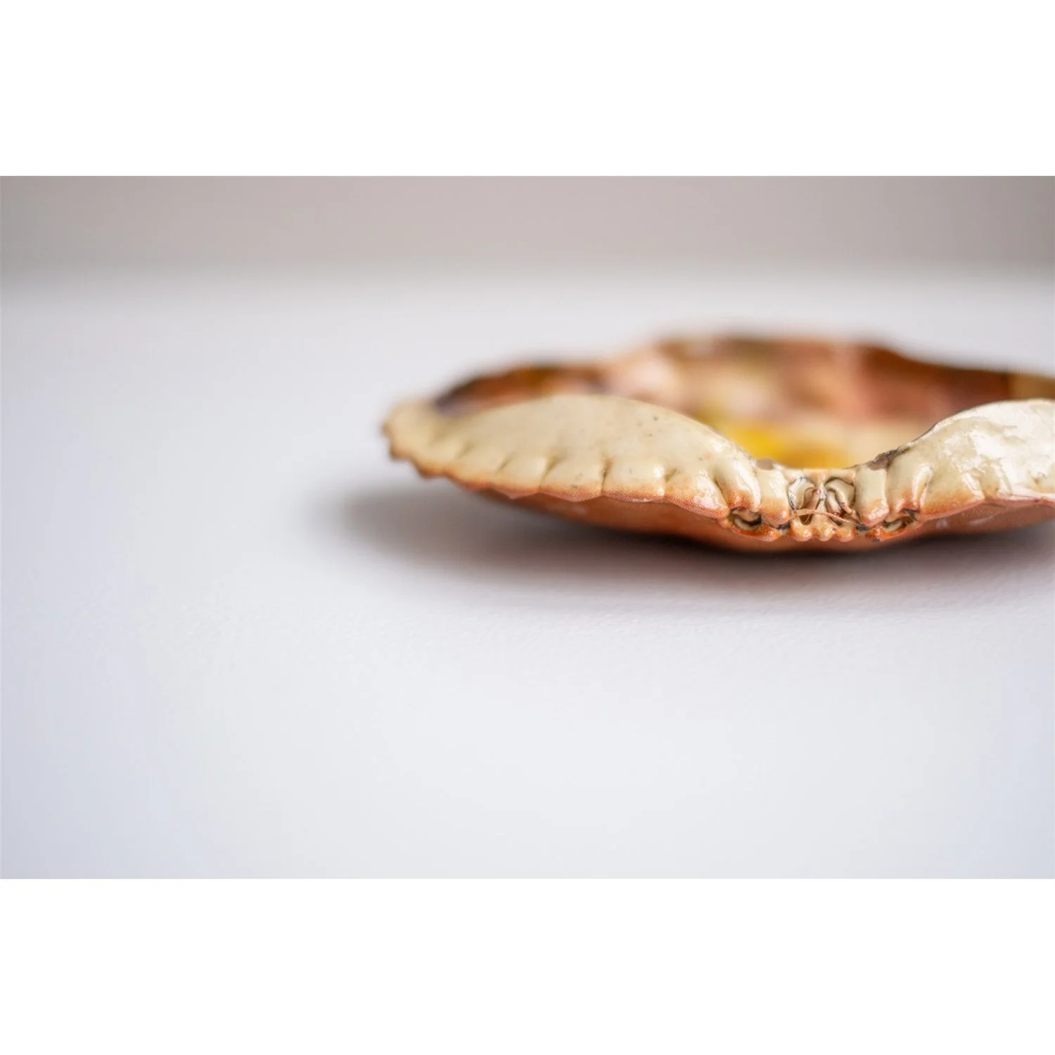 Francois -3 - Anne Kaere Fotografie.jpg-6.jpg