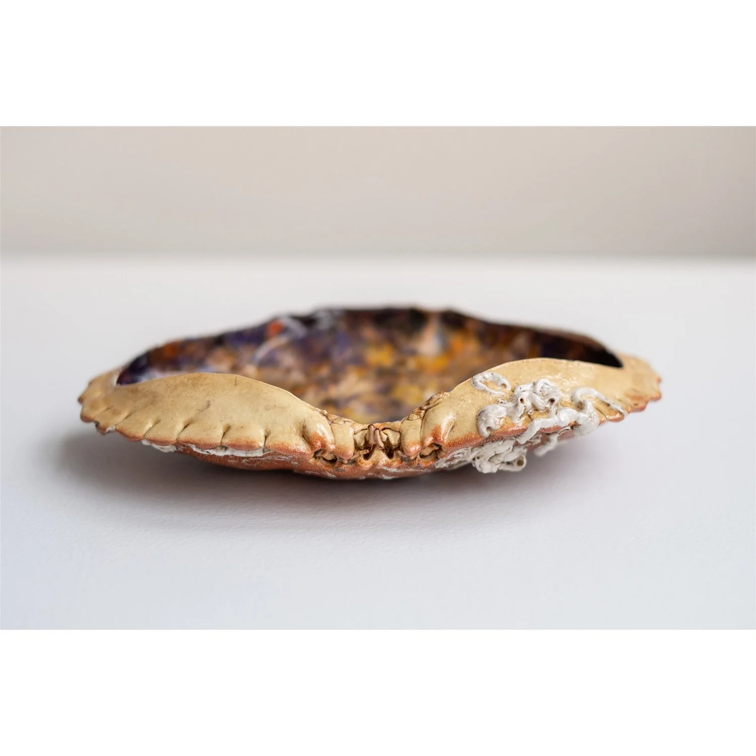 Francois - 5 - Anne Kaere Fotografie.jpg-1.jpg