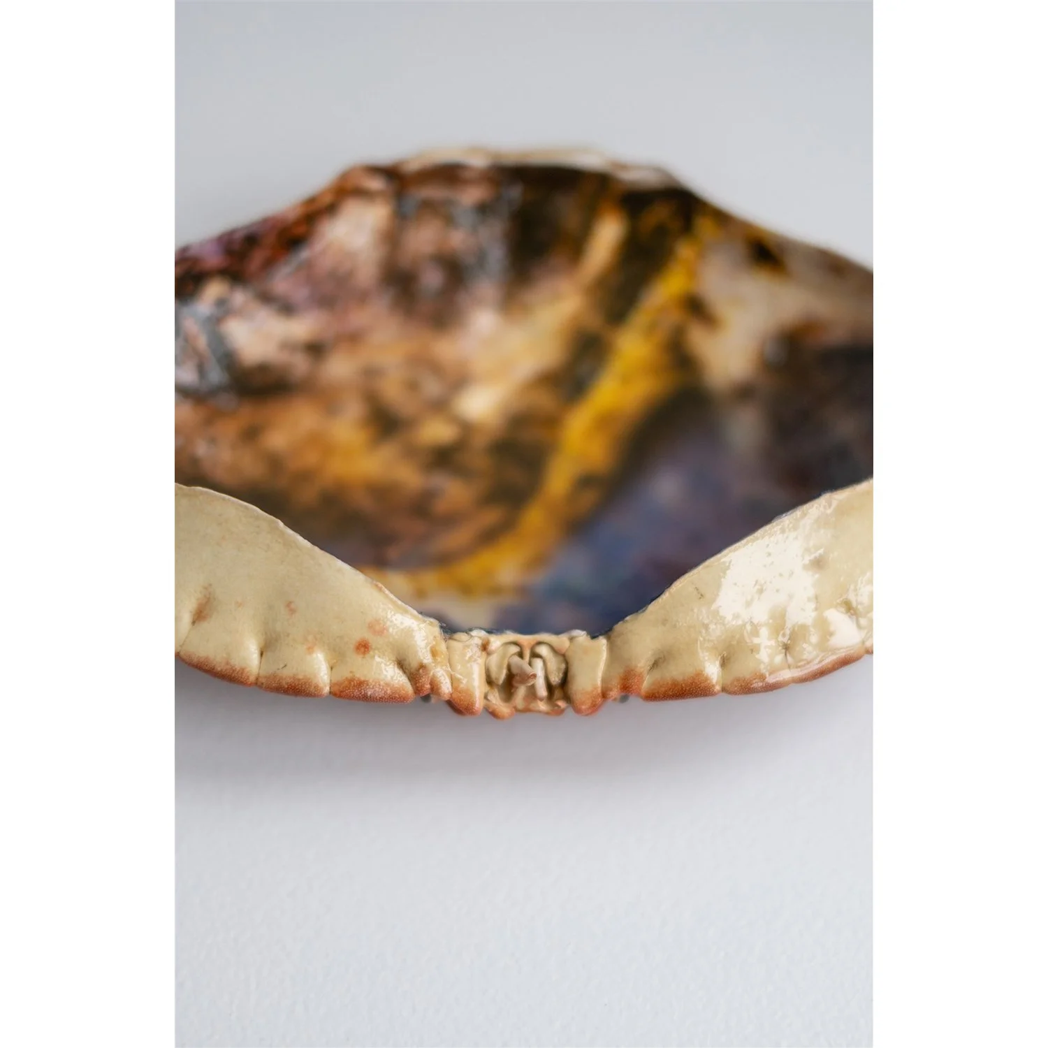 Francois - 6 - Anne Kaere Fotografie.jpg-1.jpg