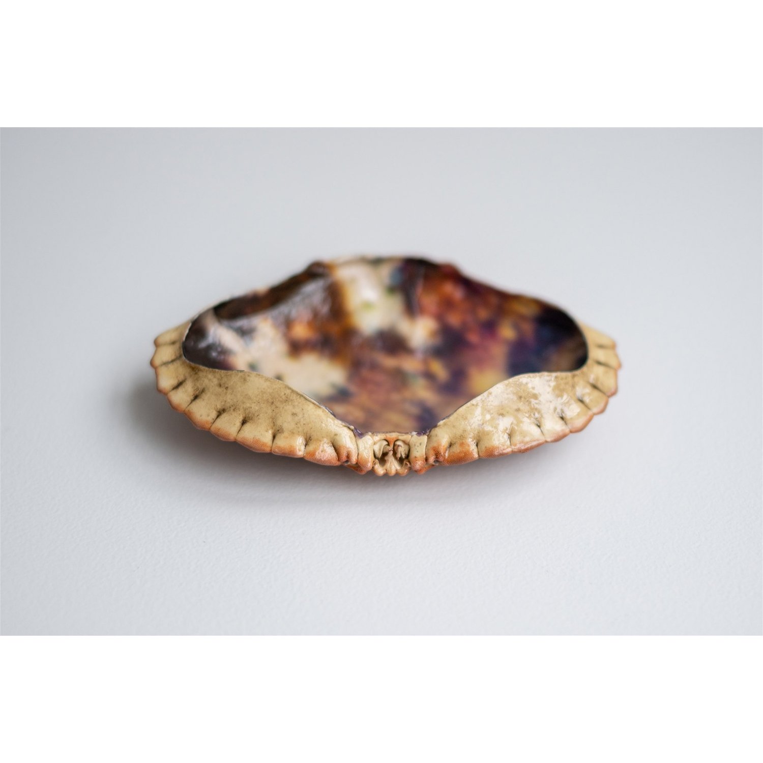 Francois - 8 - Anne Kaere Fotografie.jpg-2.jpg