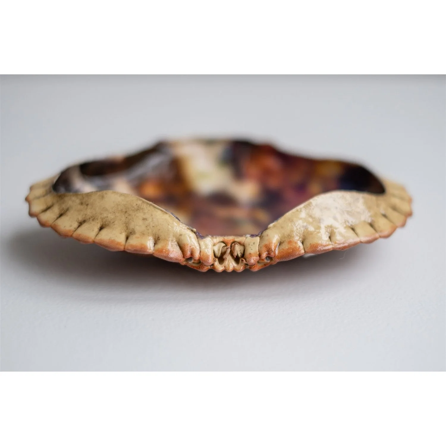 Francois - 8 - Anne Kaere Fotografie.jpg-1.jpg