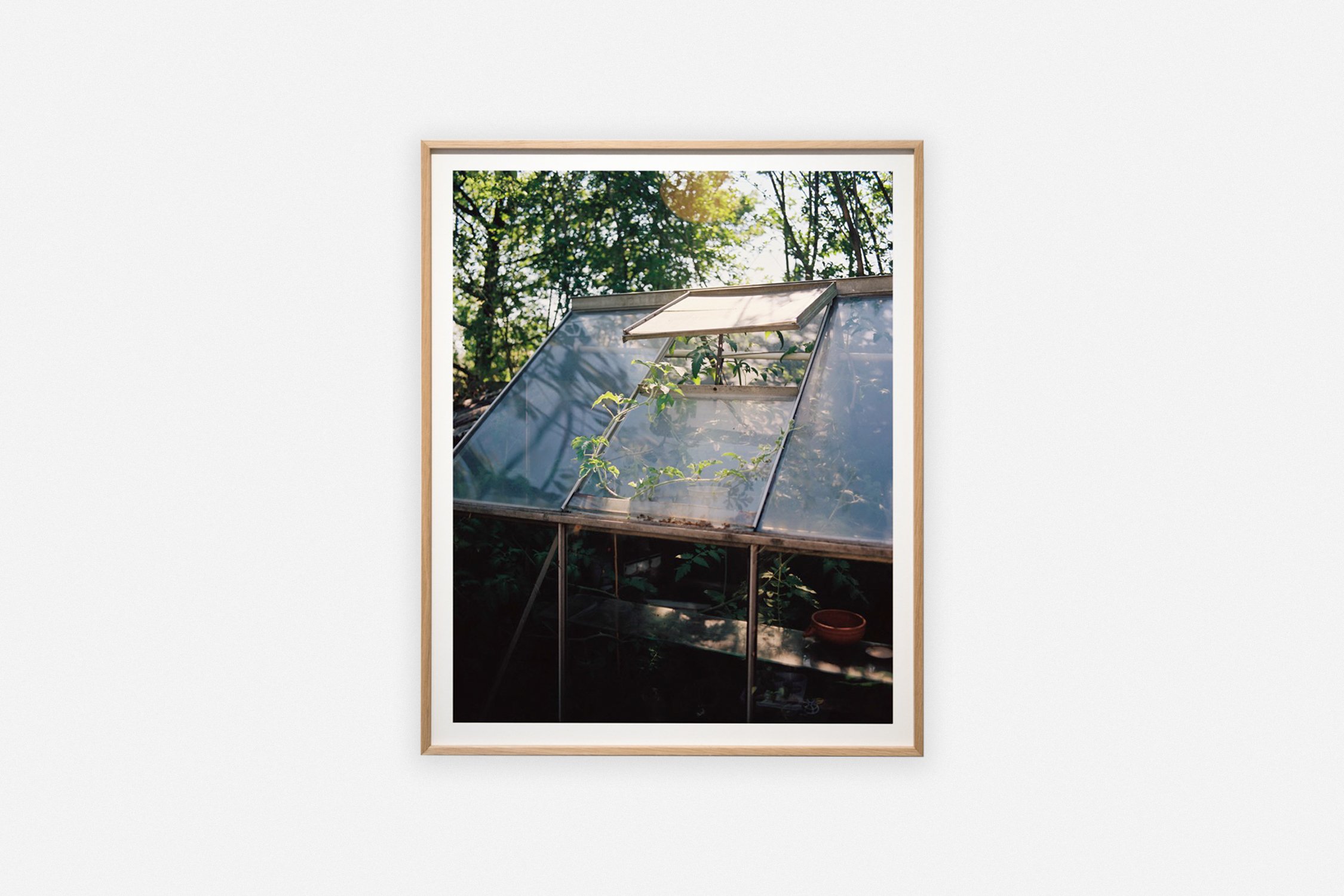 Greenhouse_cover.jpg