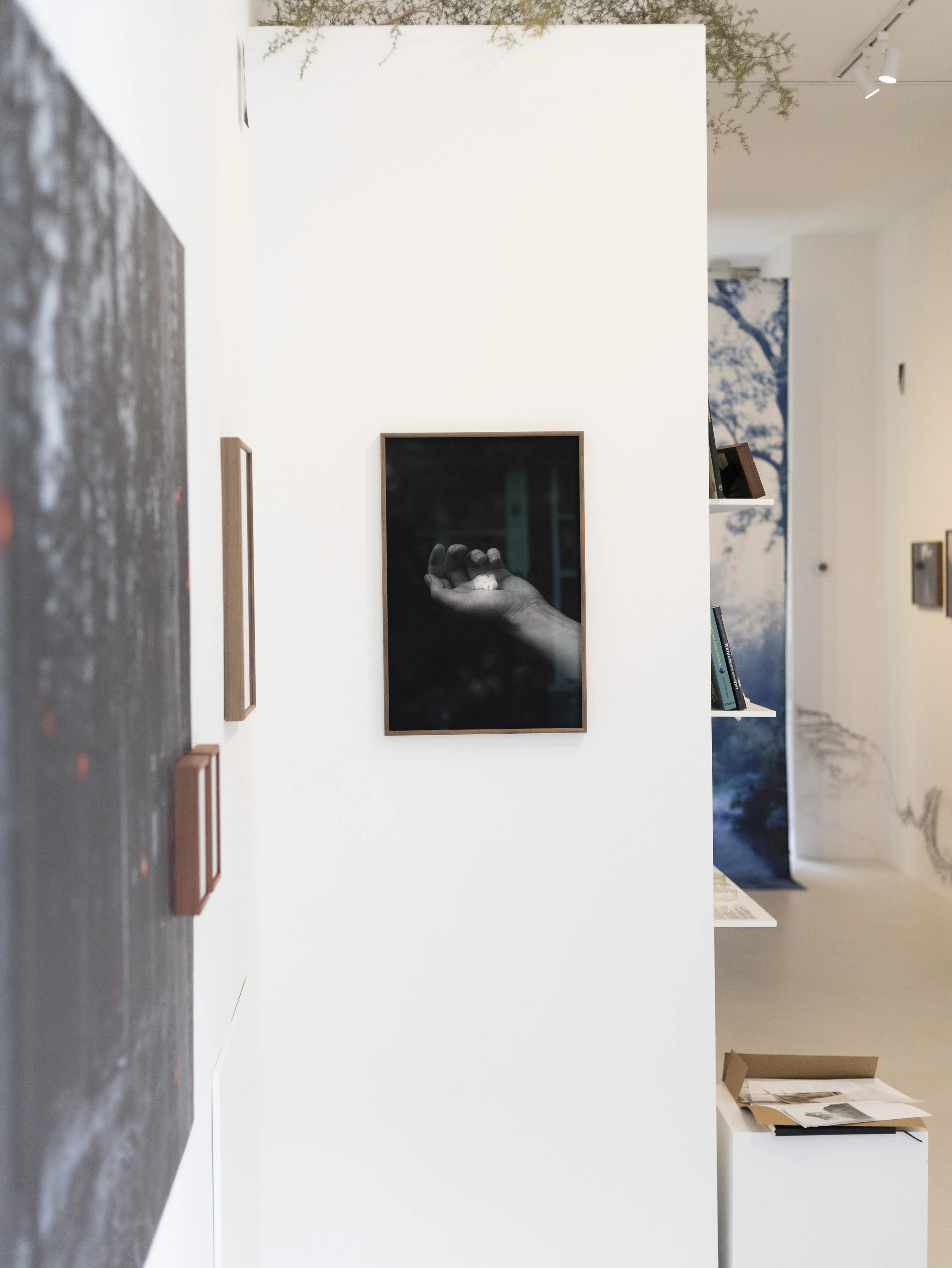 I know this much is true