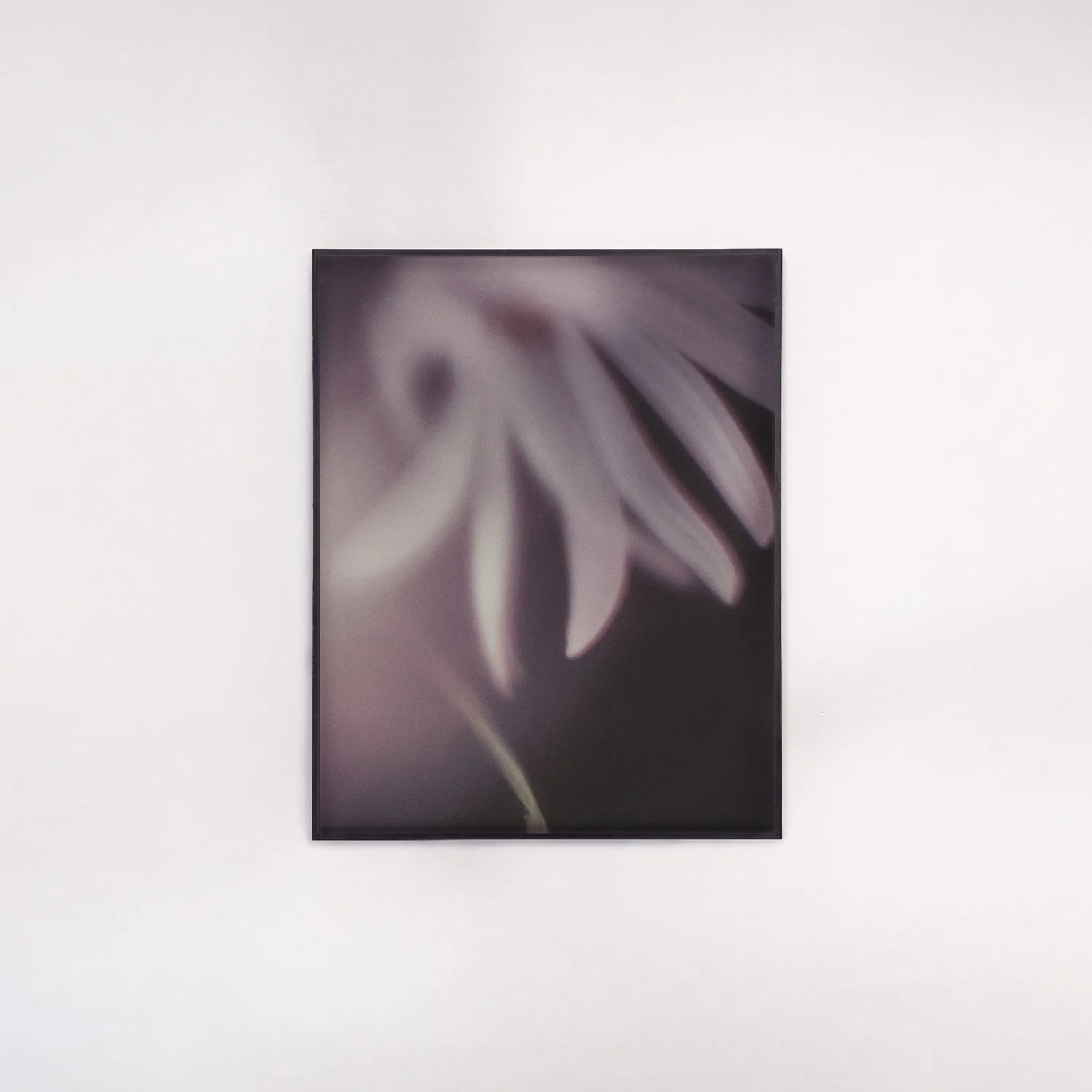 soothing-2026-03-twan-peeters-framed-01.jpg