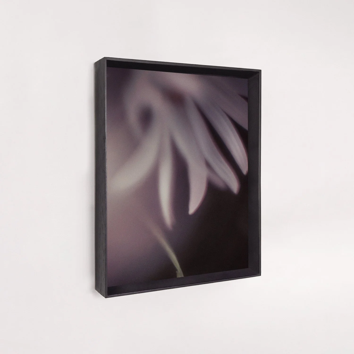 soothing-2026-03-twan-peeters-framed-02.jpg