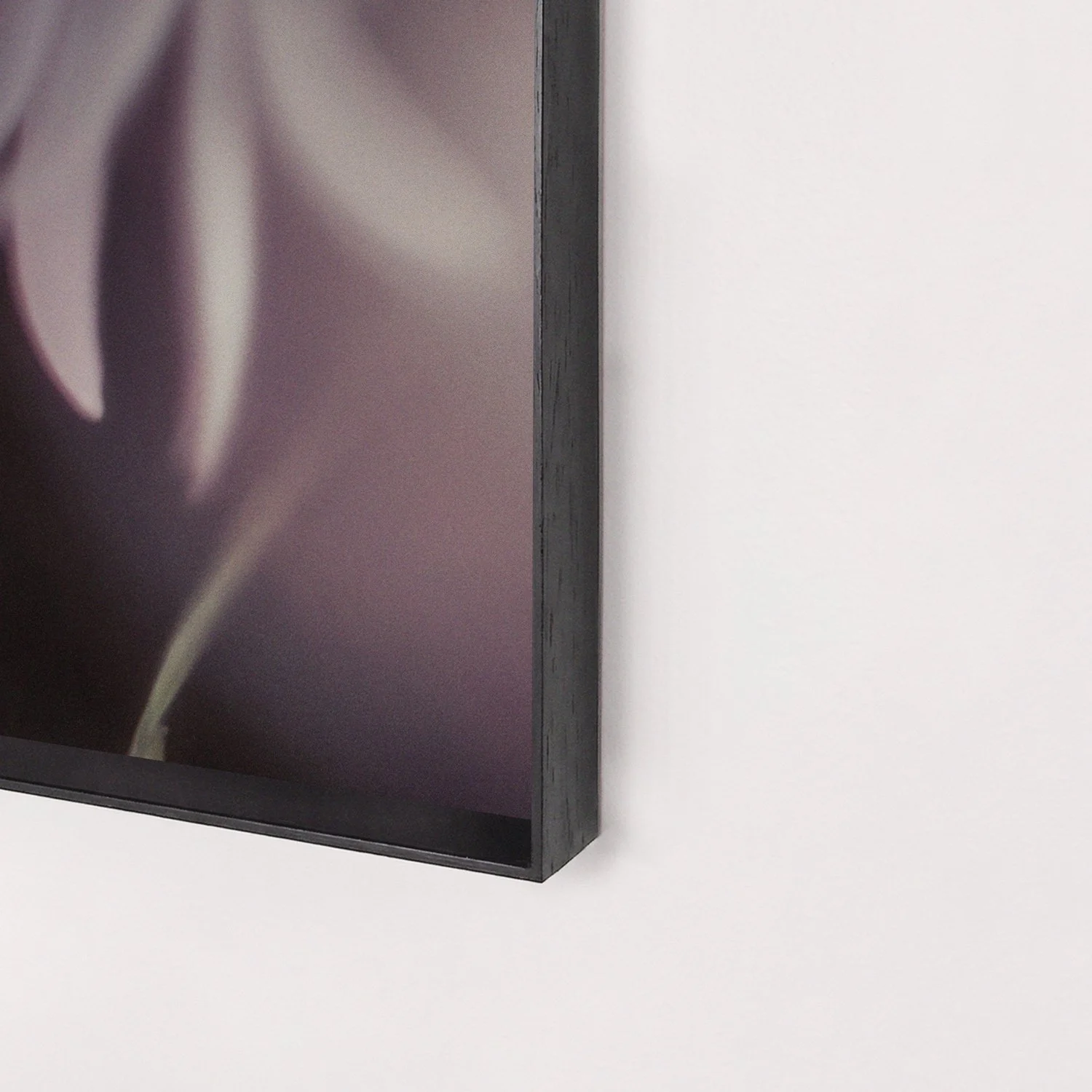 soothing-2026-03-twan-peeters-framed-03.jpg