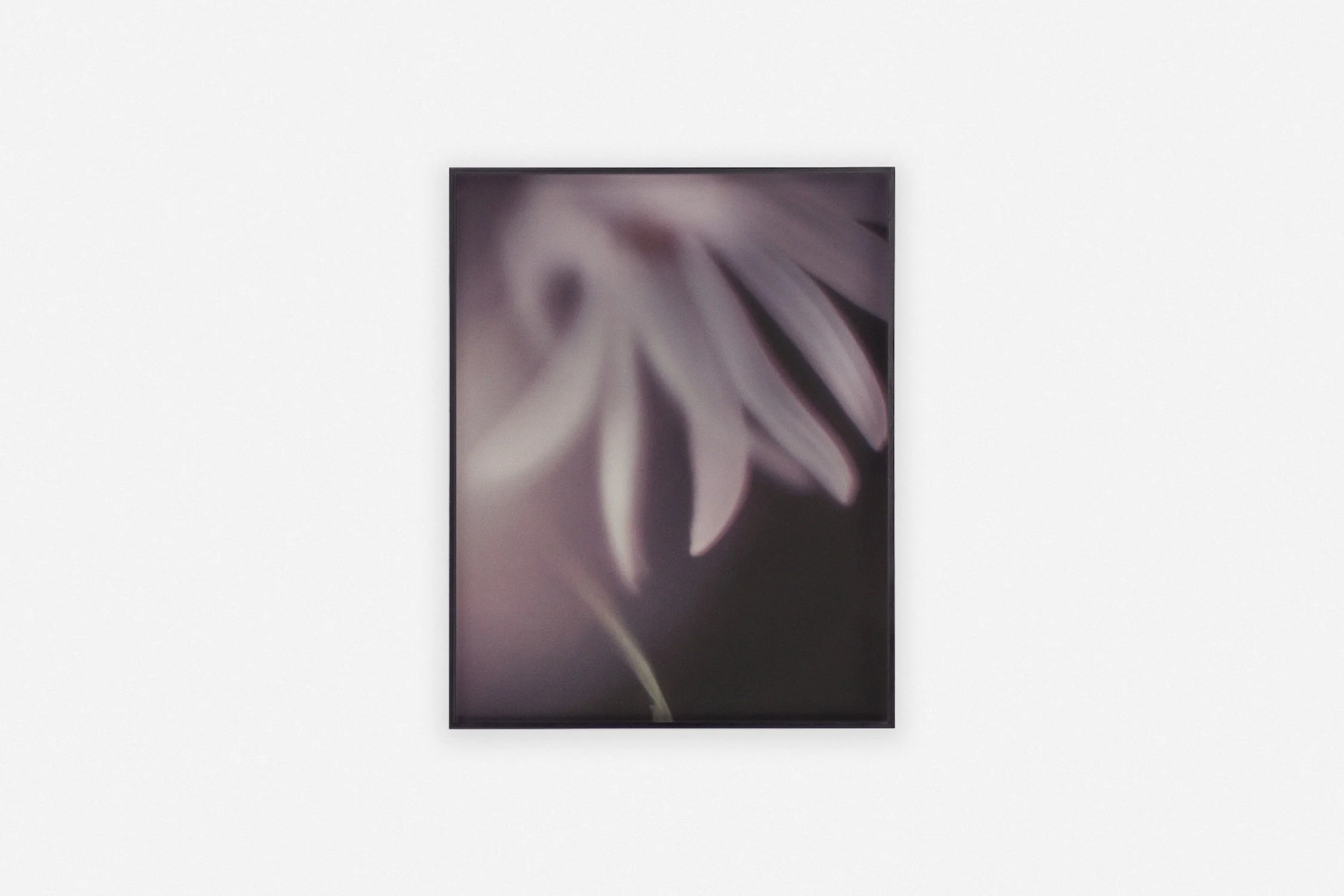       
  
     ← Back 
  
 
                  
  
    ◼︎ Soothing 03    Twan Peeters 2022 / 2026   Awagami washi bamboo fine art print 20 × 25 cm Edition of 3 + 1 AP Handmade frame crafted from locally sourced walnut in dark brown  € 400,00  There is