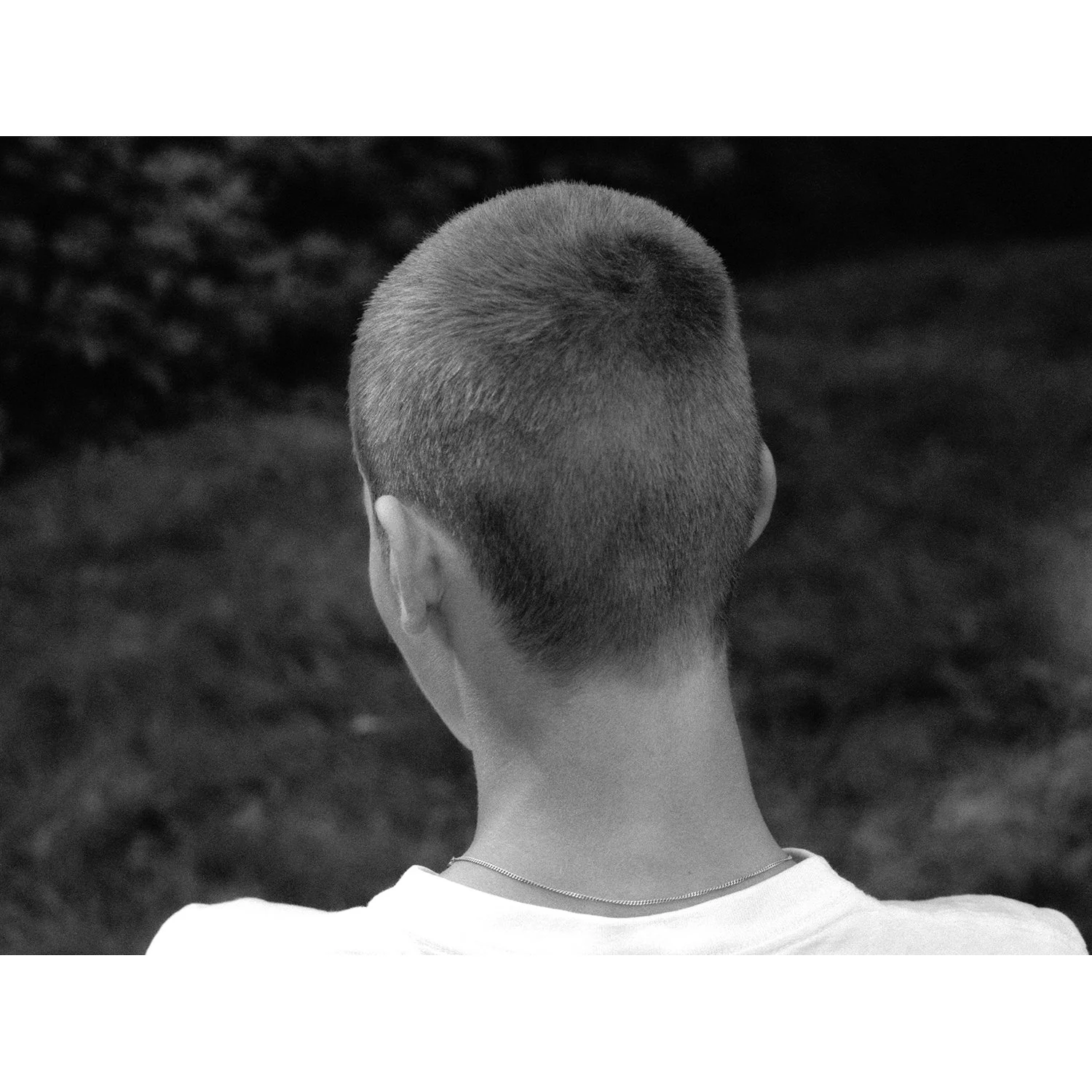 Untitled_8_beeld.jpg