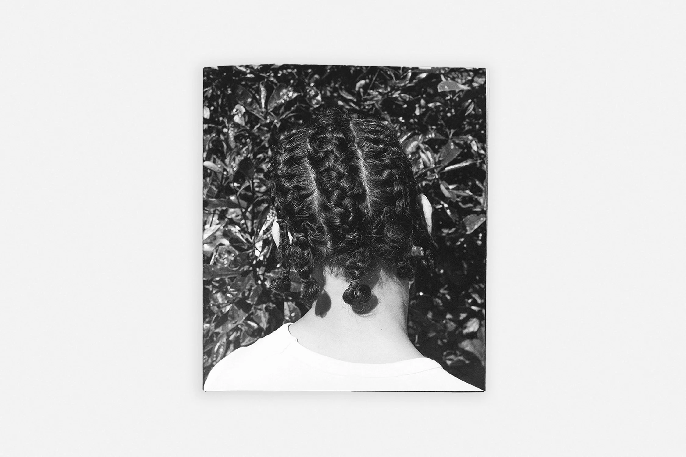 Farren_cover.jpg
