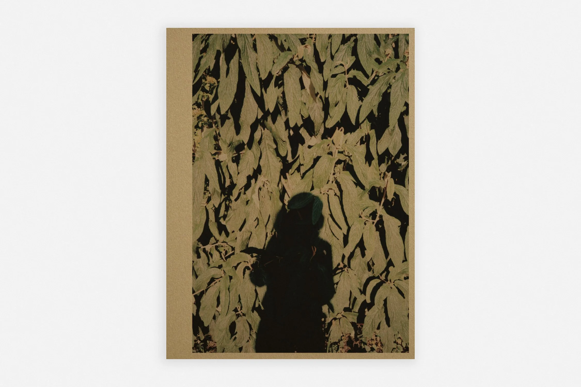      
  

 
  
     ← Back 
  
  
 


         
         
  
    ◼︎ MDRWNG PHTGRPH RCHV   Anouk Griffioen   24 x 32 cm 304 pages Softcover  € 40,00  The book is a monograph spanning more than twenty years of artistic practice, in which drawing and ph
