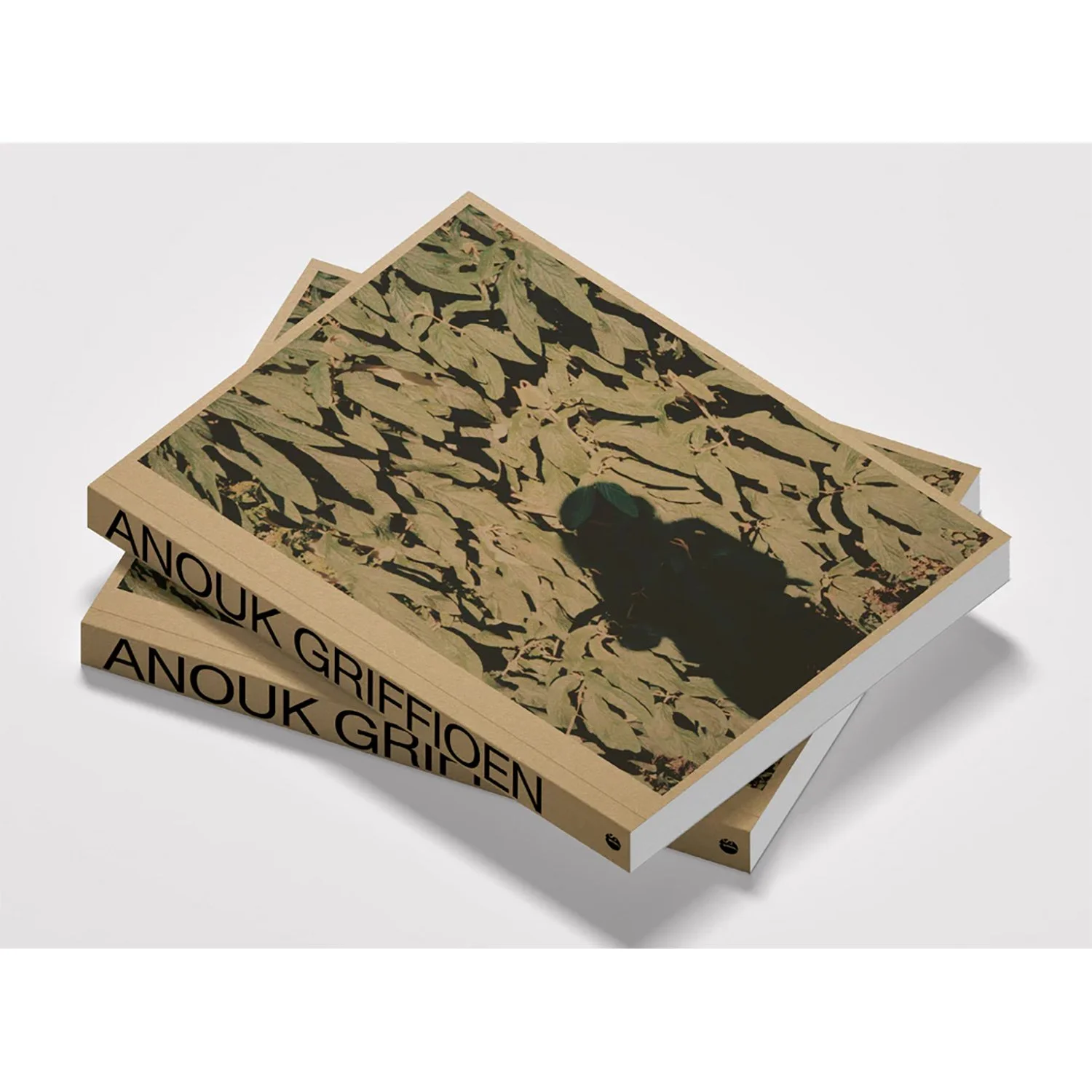 AnoukGriffioen_Cover_3D_1024x1024 kopie.jpg