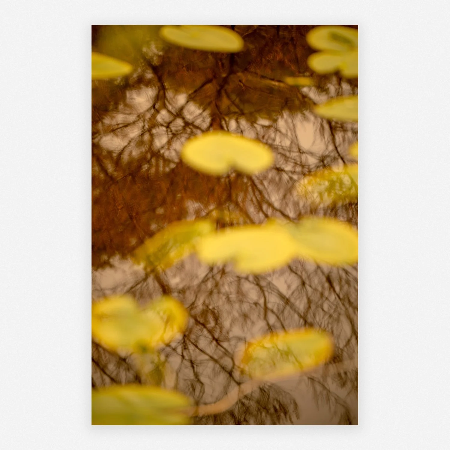 lillies_werk.jpg