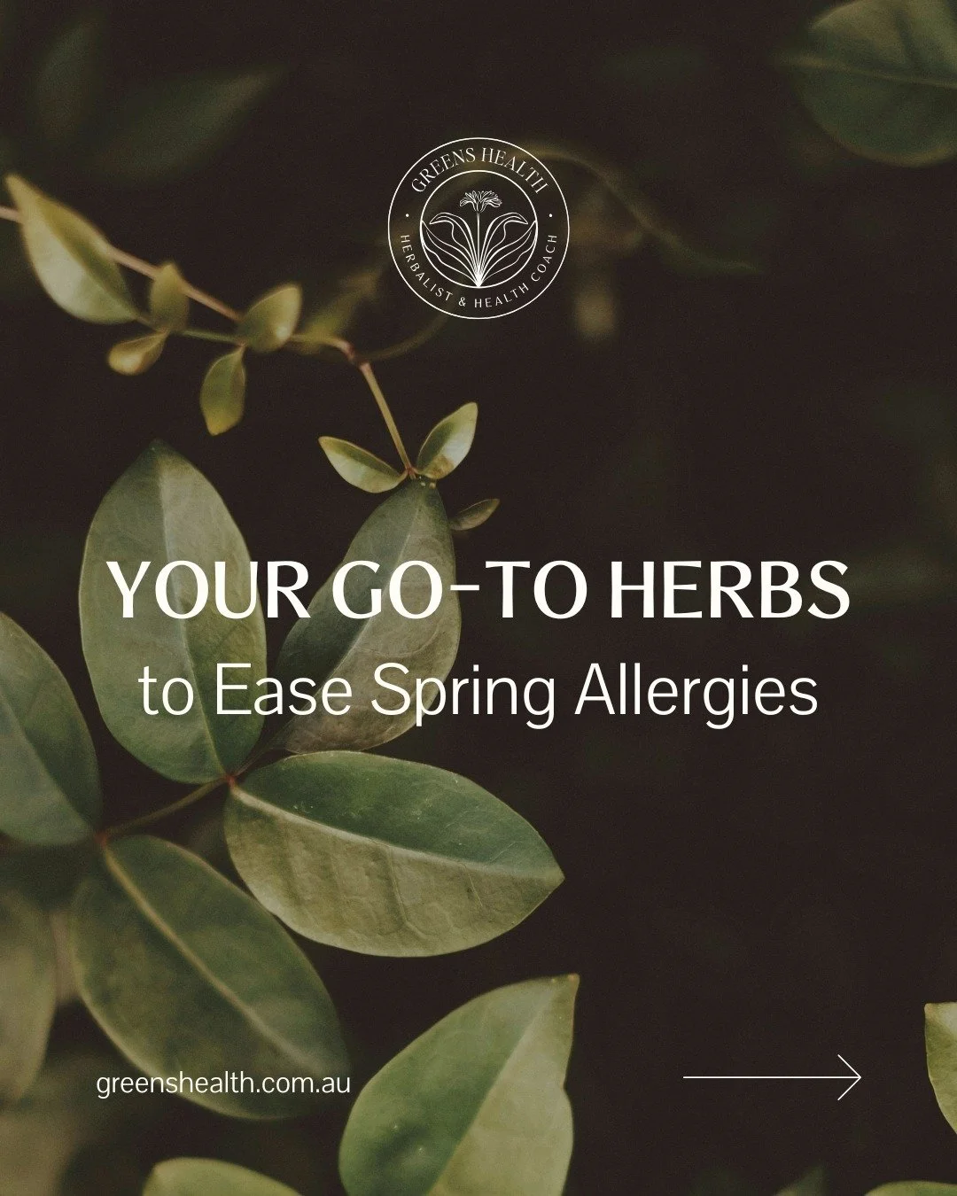 Sneezing, itchy eyes, runny nose? Spring allergies are rough. 😩

Two herbs I prescribe in clinic (and use at home!) that actually make a difference:
🌿 Nettle Leaf lowers histamine + nourishes mucous membranes.
🌿 Eyebright clears itchy, watery, red