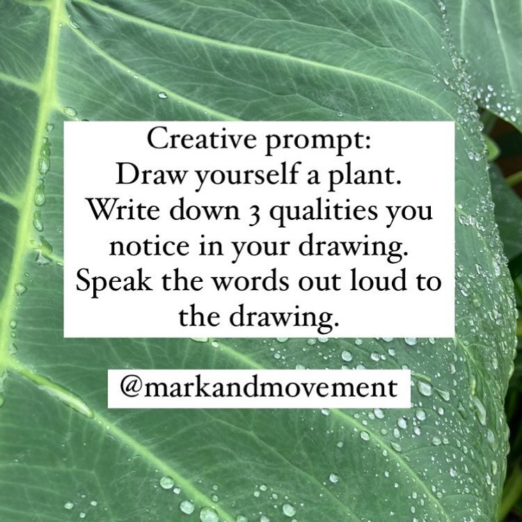 🌿 creative prompt for you

✏️ Draw yourself as a plant.
✏️ Write down 3 qualities you notice in your 🖼
🗣 Speak the words out loud to your 🖼

Maybe you have a favourite plant. 

Perhaps you are inspired by a plant on your space.

Maybe you feel in