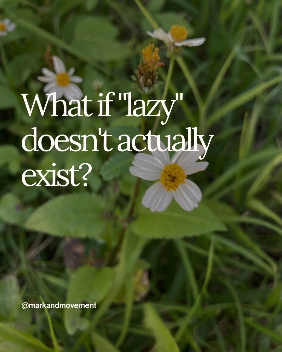 A little reminder for today: you don&rsquo;t need to force or shame yourself into being creative.

When we drop the shortcuts and the quick labels, we get to step into a much gentler curiosity about why we do what we do. 

We get to peel off the laye