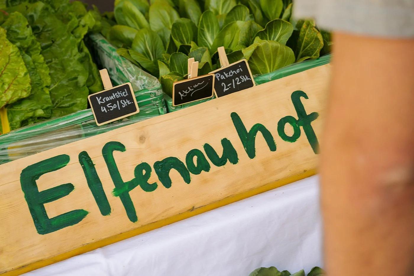 Quartierfest_Elfenau_2025_010.jpg