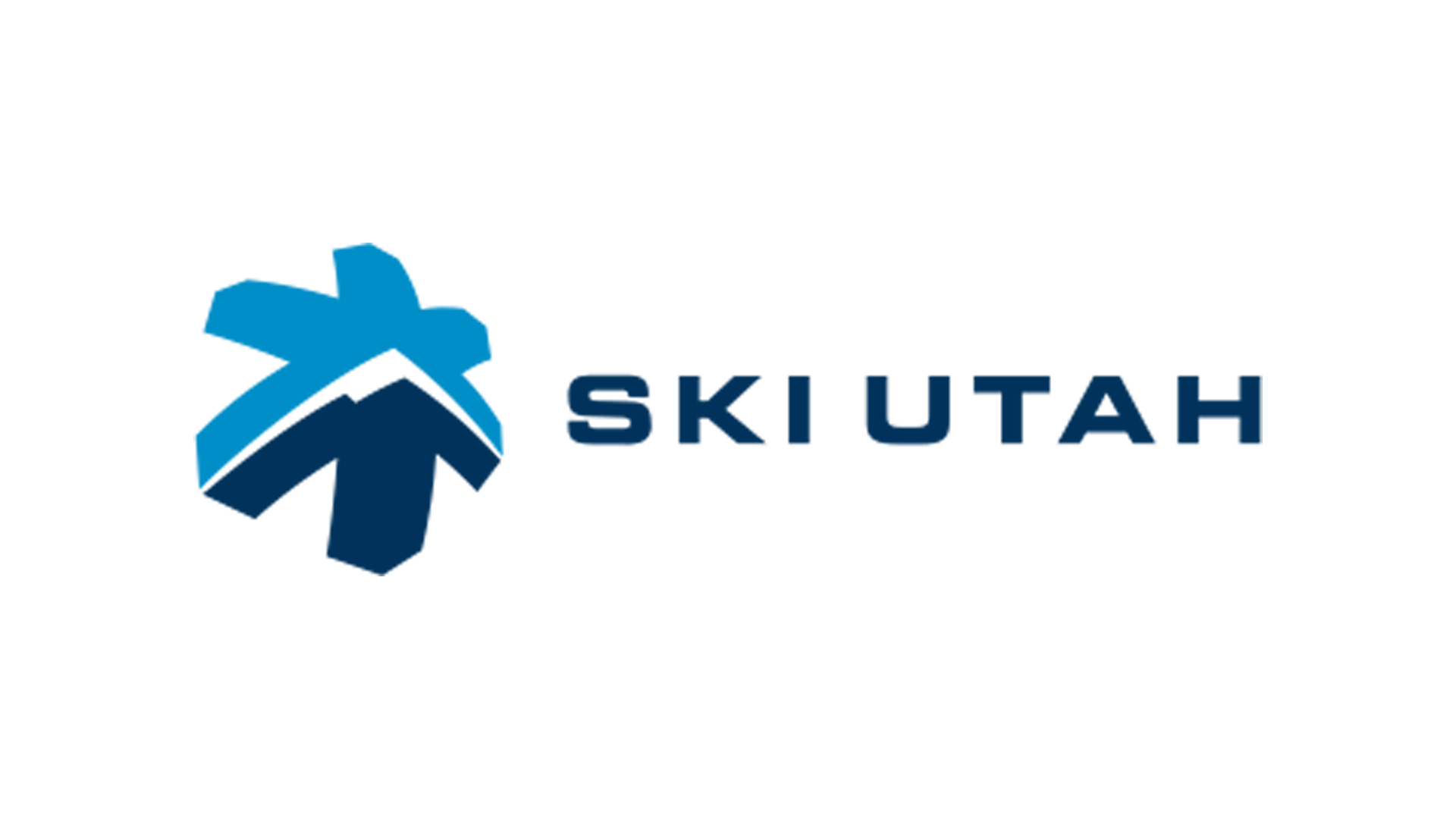 United States Air Force logo with a stylized eagle and the words 'U.S. Air Force' in blue.