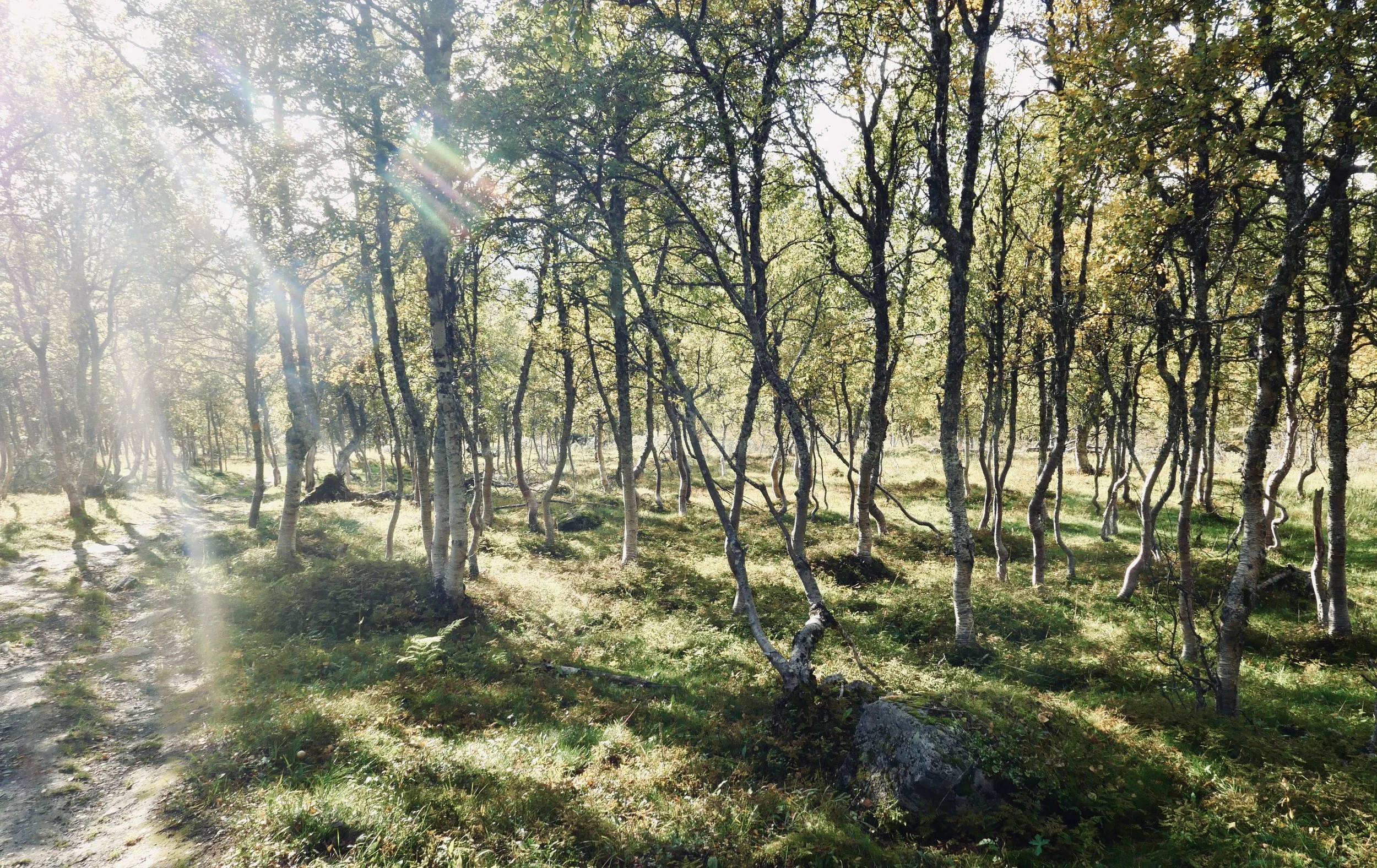 P1013625.JPG