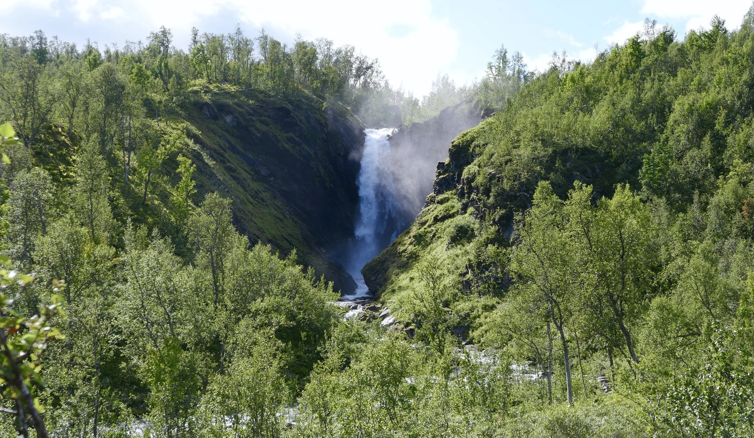 P1014103.JPG