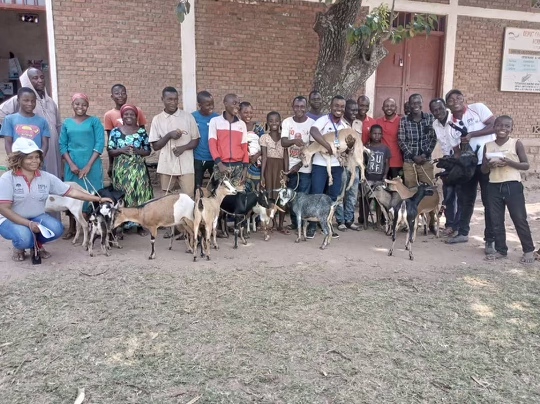 Our Journey to Peace in the DRC