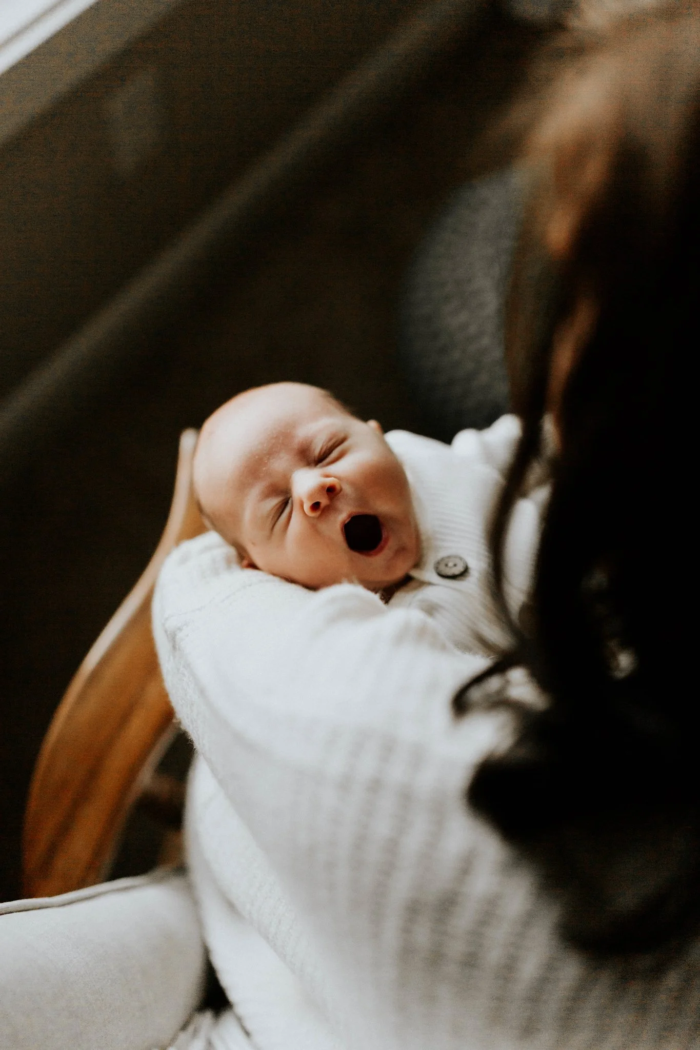 Sulv1 (1 of 5)-X4.jpg