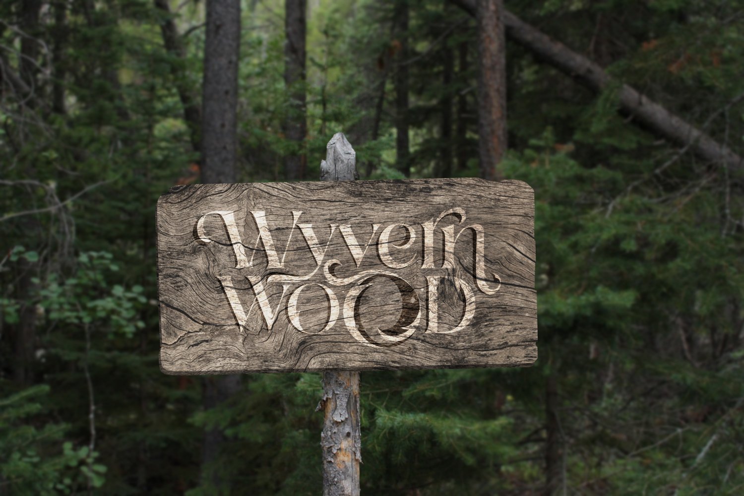 WW NEW sign.jpg