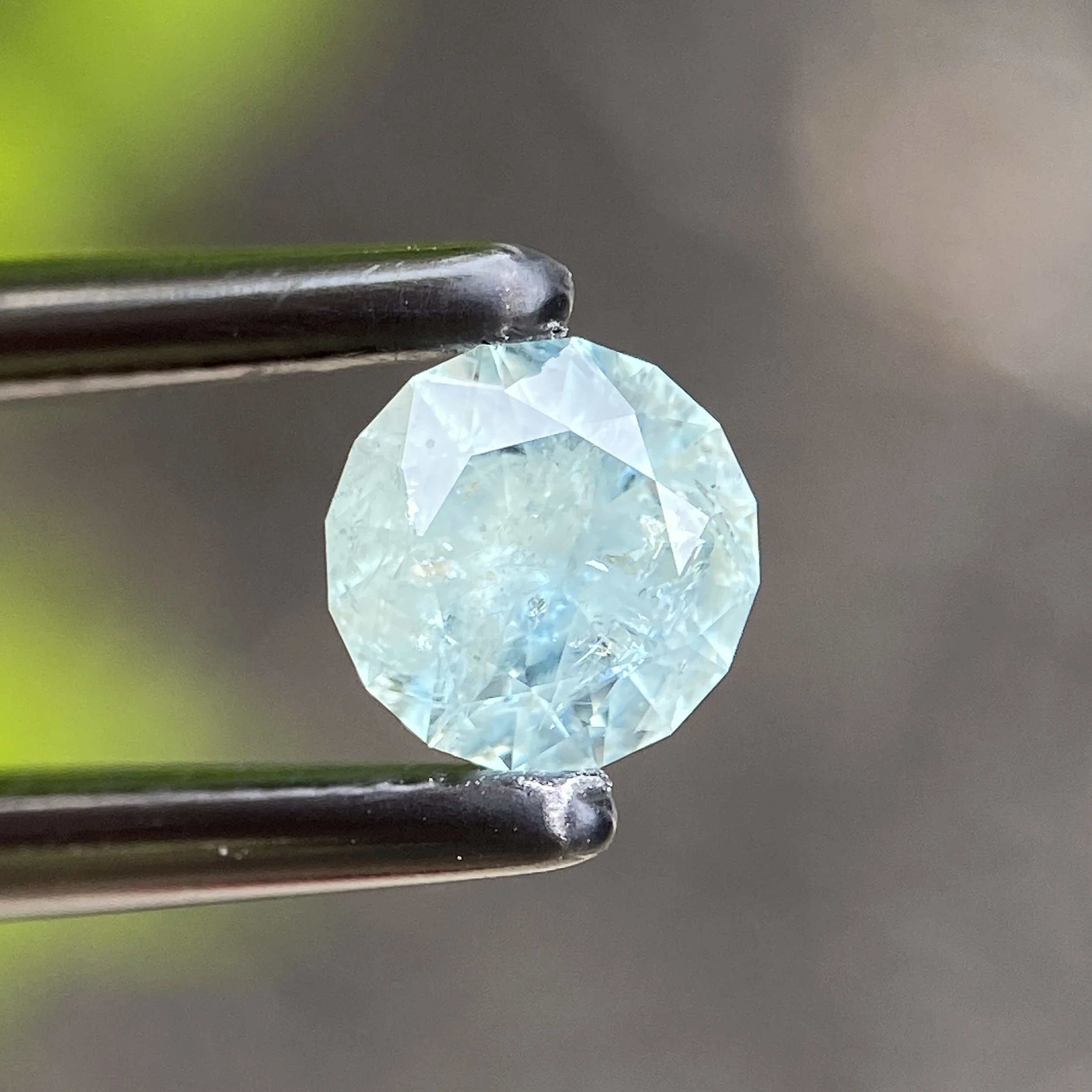 IMG_7620.jpg