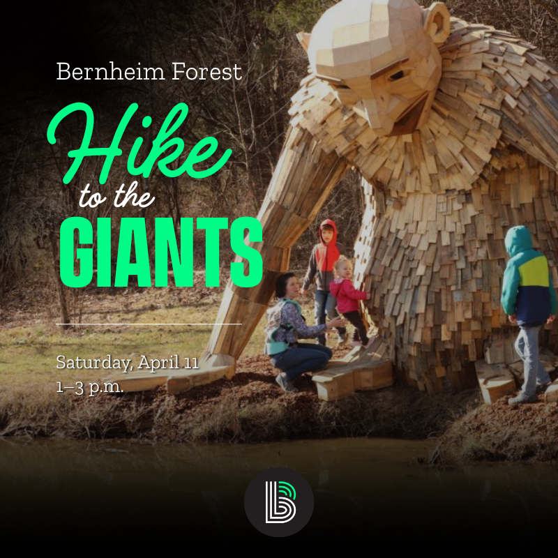 Bernheim Forest: Hike to the Giants!