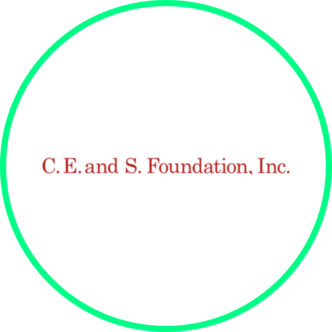 C.E. and S. Foundation Inc.