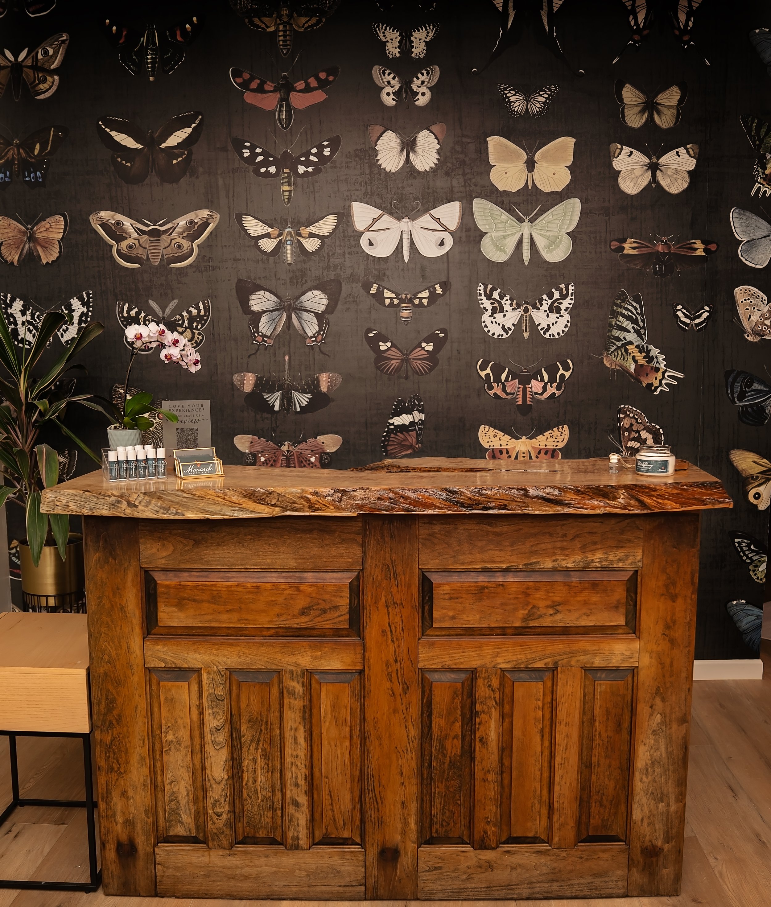 A wooden reception desk with a natural, polished finish, featuring square paneling on the front. Behind the desk, a wall displays illuminated butterfly and moth wall art with various colors and wing patterns. To the left, there is a large plant with 