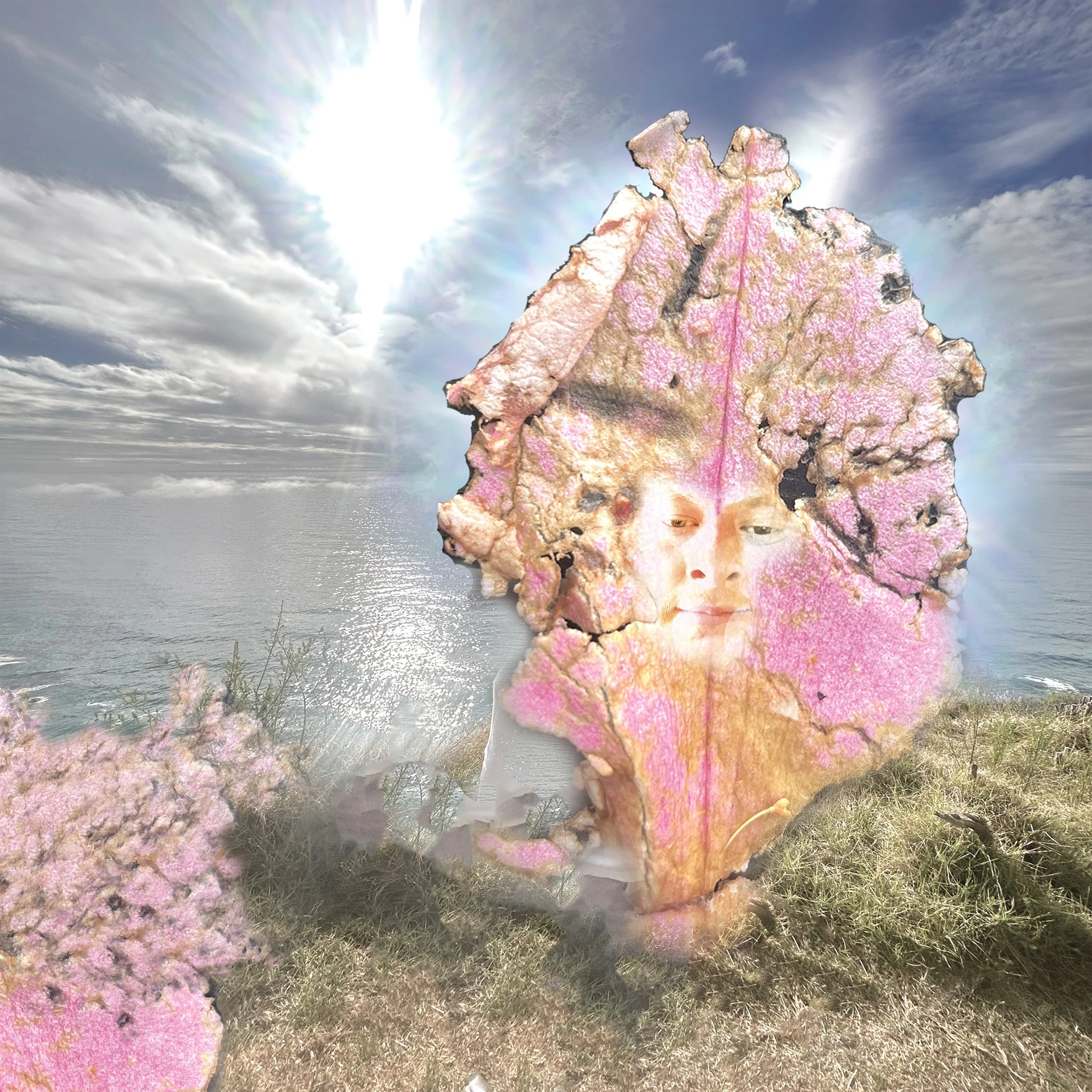 leafalbumcover.jpg