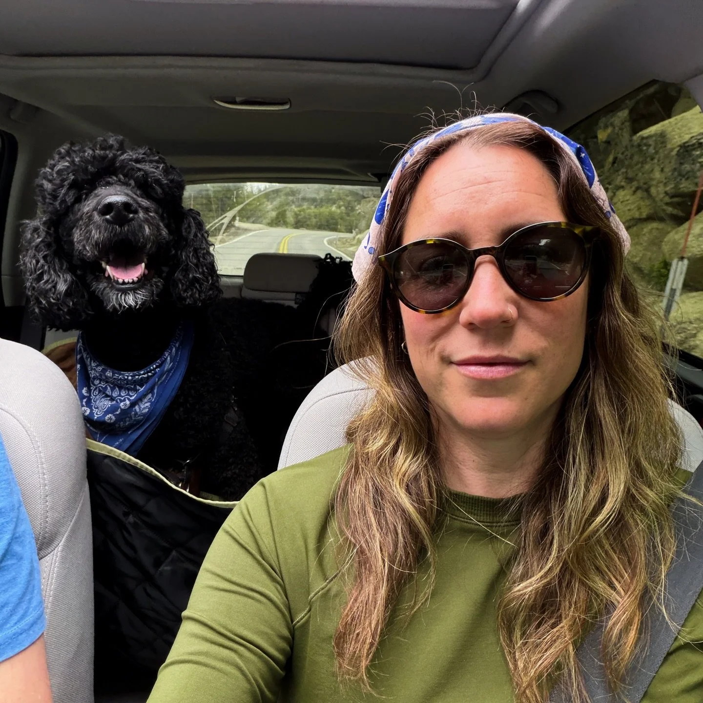 Highlights from our 10 day road trip to find some cool birds 🏔️🏜️

Oakland ➡️ Eastern Sierra ➡️ Tucson ➡️ Madera Canyon ➡️ Joshua Tree back to the Bay. 

Saw awesome birds, lots of cactus flowers, and spent quality time with family 💚

now back to 