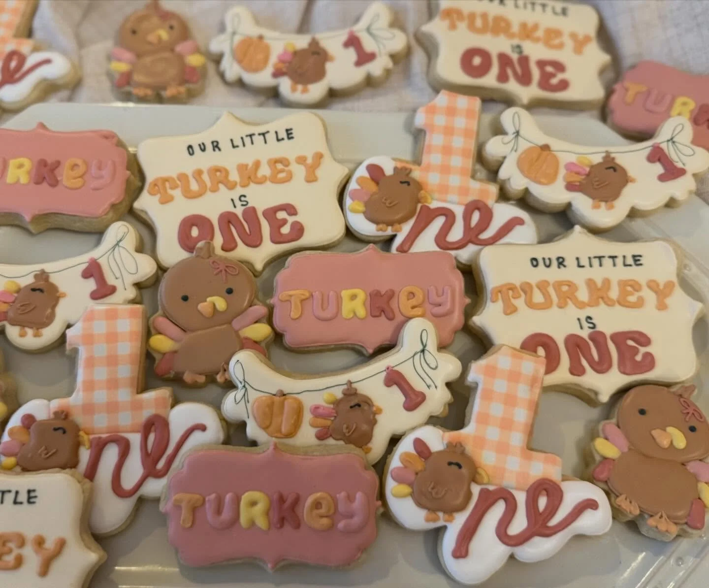 A little turkey is 1! 
.
.
.
#mjsbakingboutique #turkey #customcookies #customcookiesindianapolis #royalicing #firstbirthday #firstbirthdaycookies #firstbirthdaytheme #littleturkey #thanksgivingbirthday