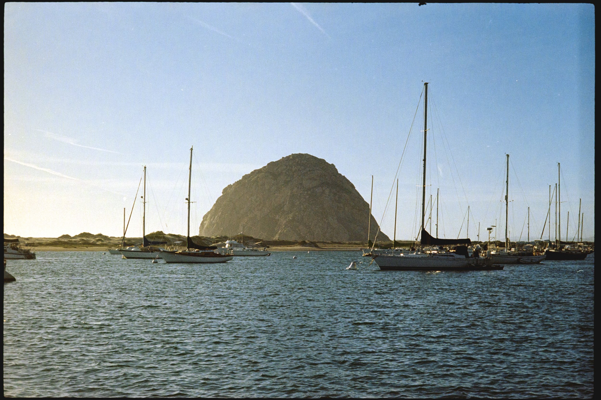 20240319-MORROBAY-20.jpg