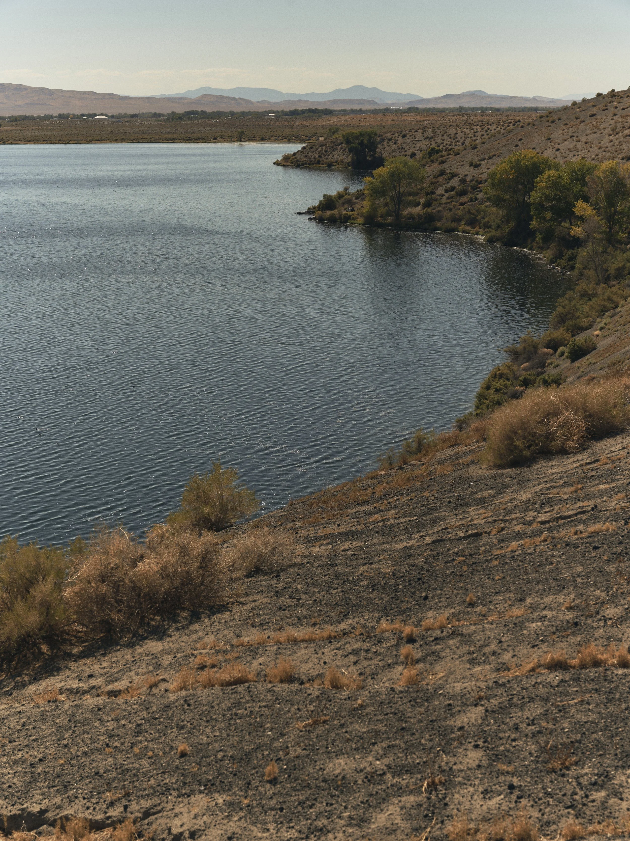 ELLIOTT-240727-NEVADA-721 2.jpg