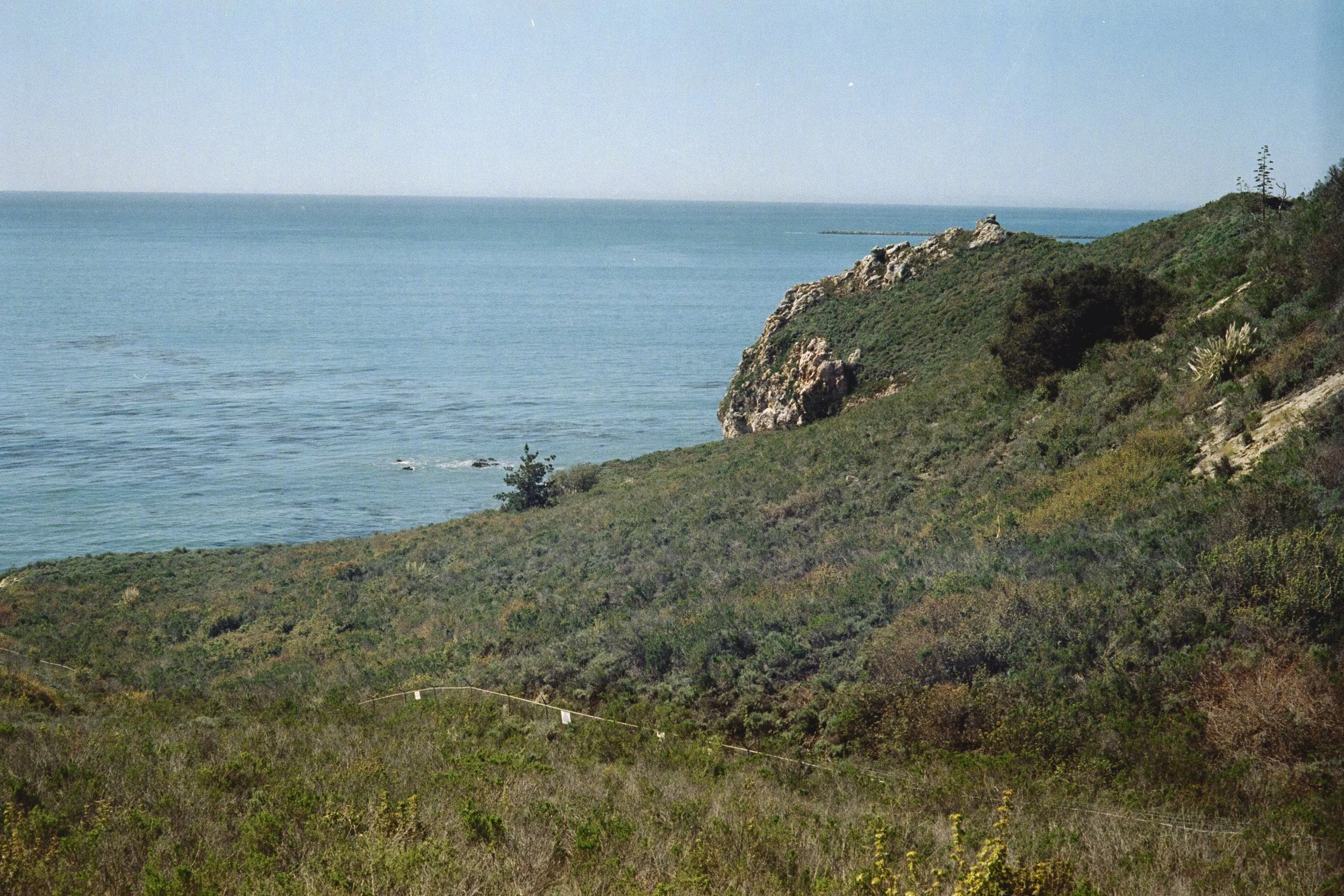 20240319-MORROBAY-26.jpg