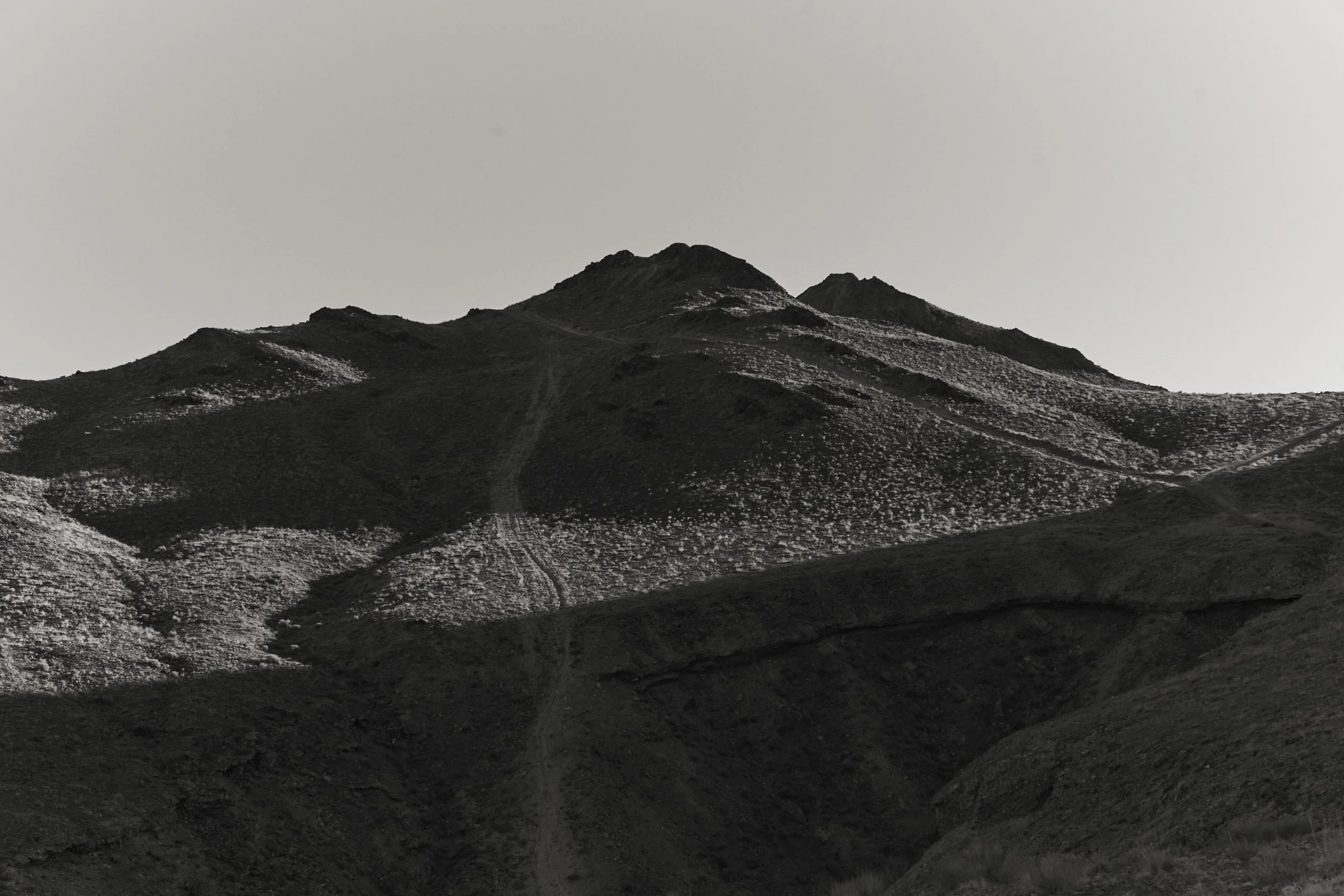 ELLIOTT-240727-NEVADA-896.jpg
